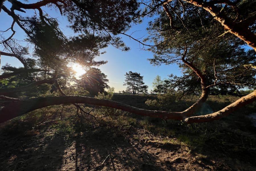 Sonneaufgang am Wietzer Berg