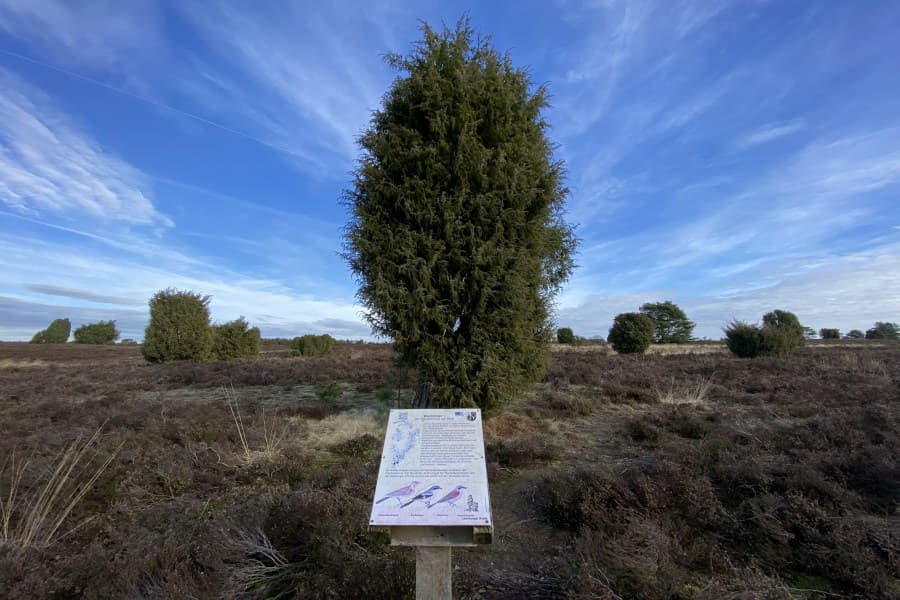 Heideschleife Radenbachtal
