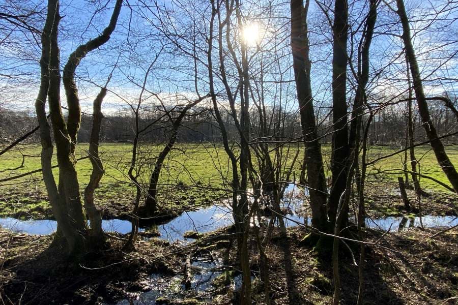 Bachlauf im Sonnenschein