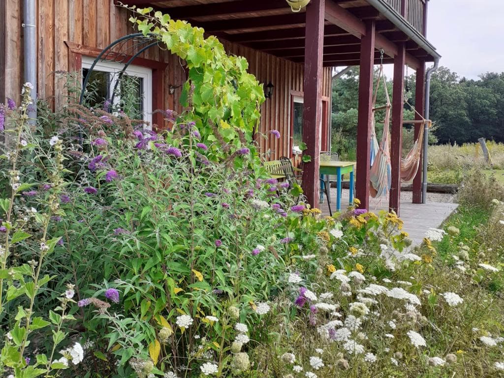 anderer Blick auf die Terrasse Ferienhaus Am Wegesrand Müden Örtze
