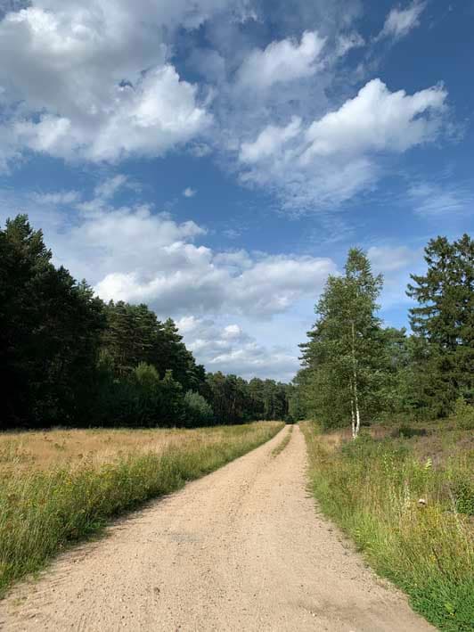wanderweg, landschaft