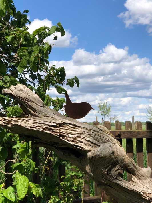 Vogel, wurzel, garten