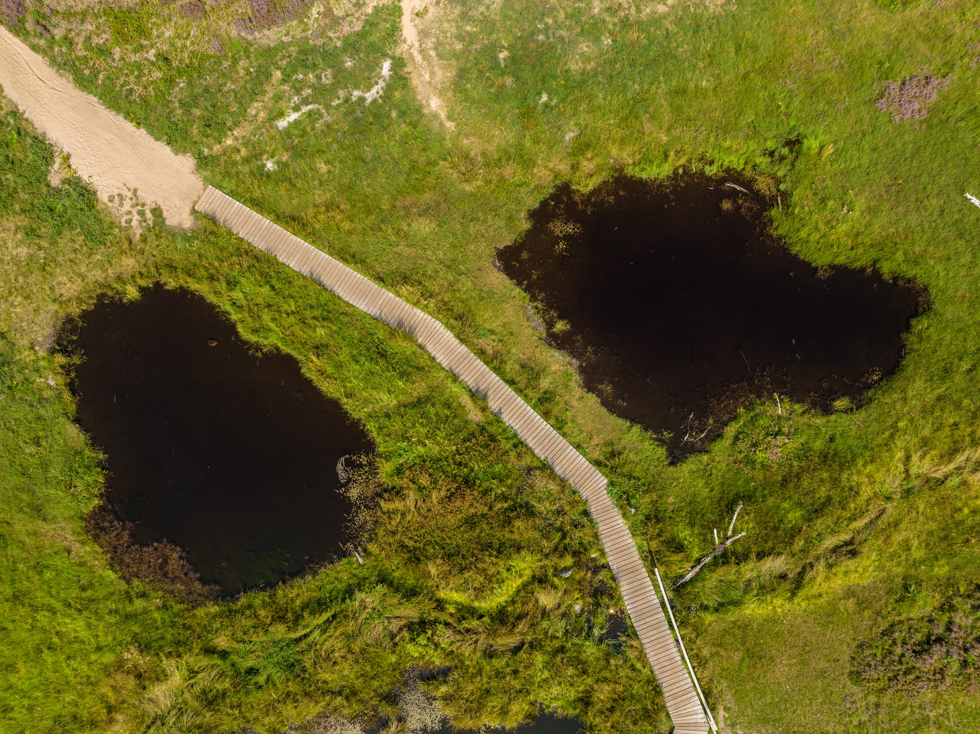 Büsenbachtal Luftaufnahme Handeloh Heidschnuckenweg Wandern