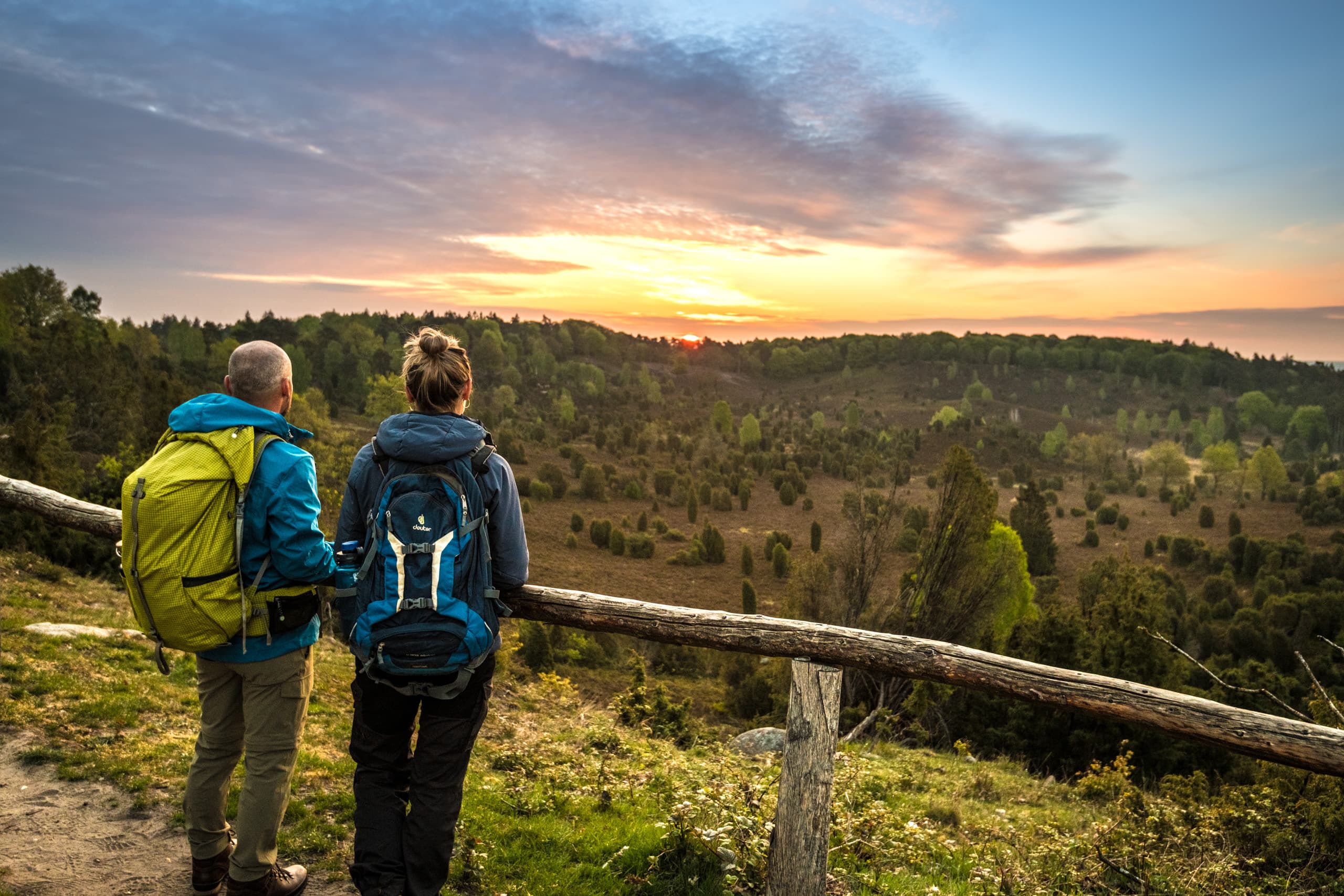 Sonnenuntergang am Totengrund auf dem Wanderweg Heidschnuckenweg