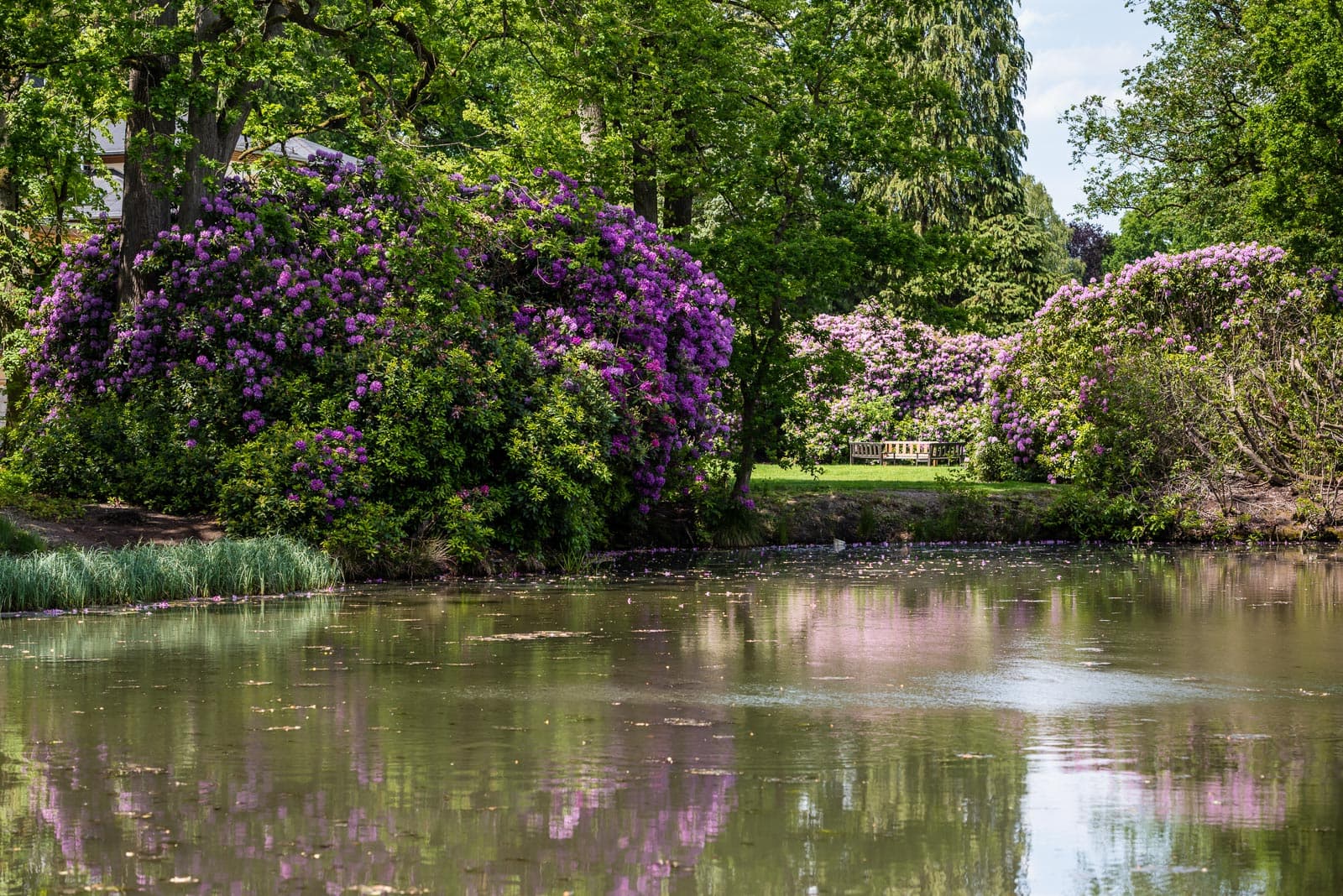 Soltau Breidings Garten am Heidschnuckenweg