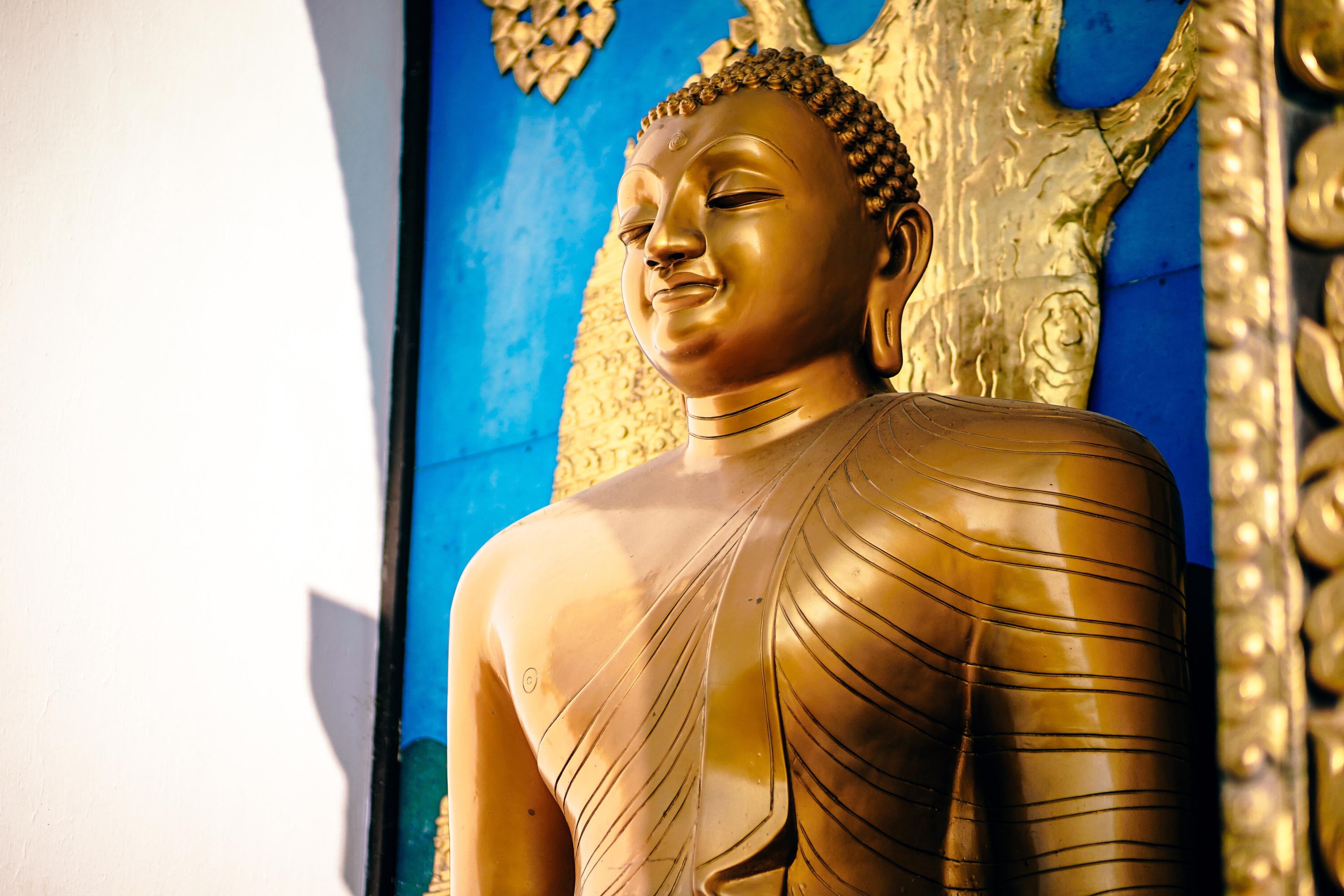 Seminar: Buddha-Natur