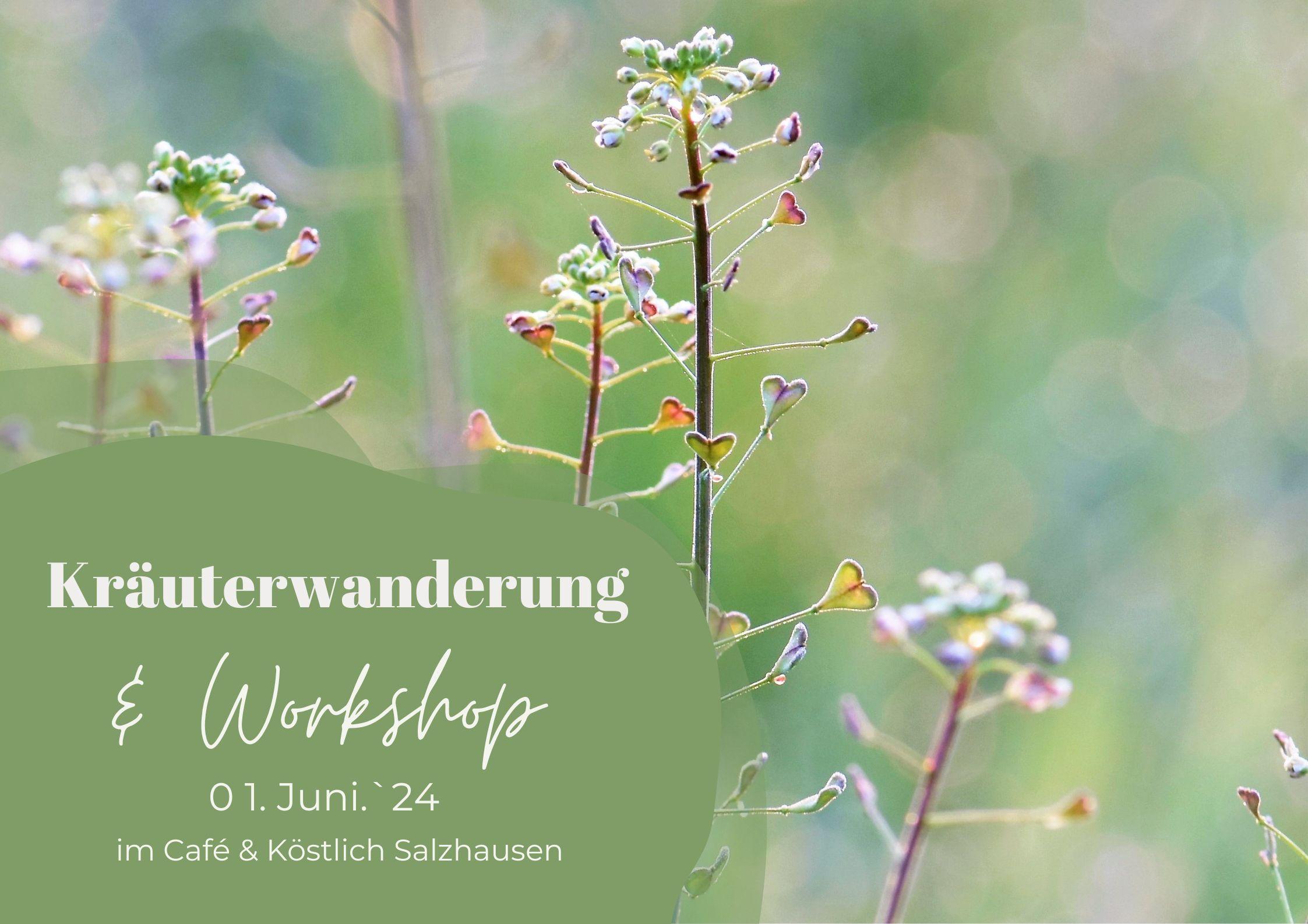 Kräuterwanderung & Workshop "Gesundheit wächst am Wegesrand" - Café & Köstlich
