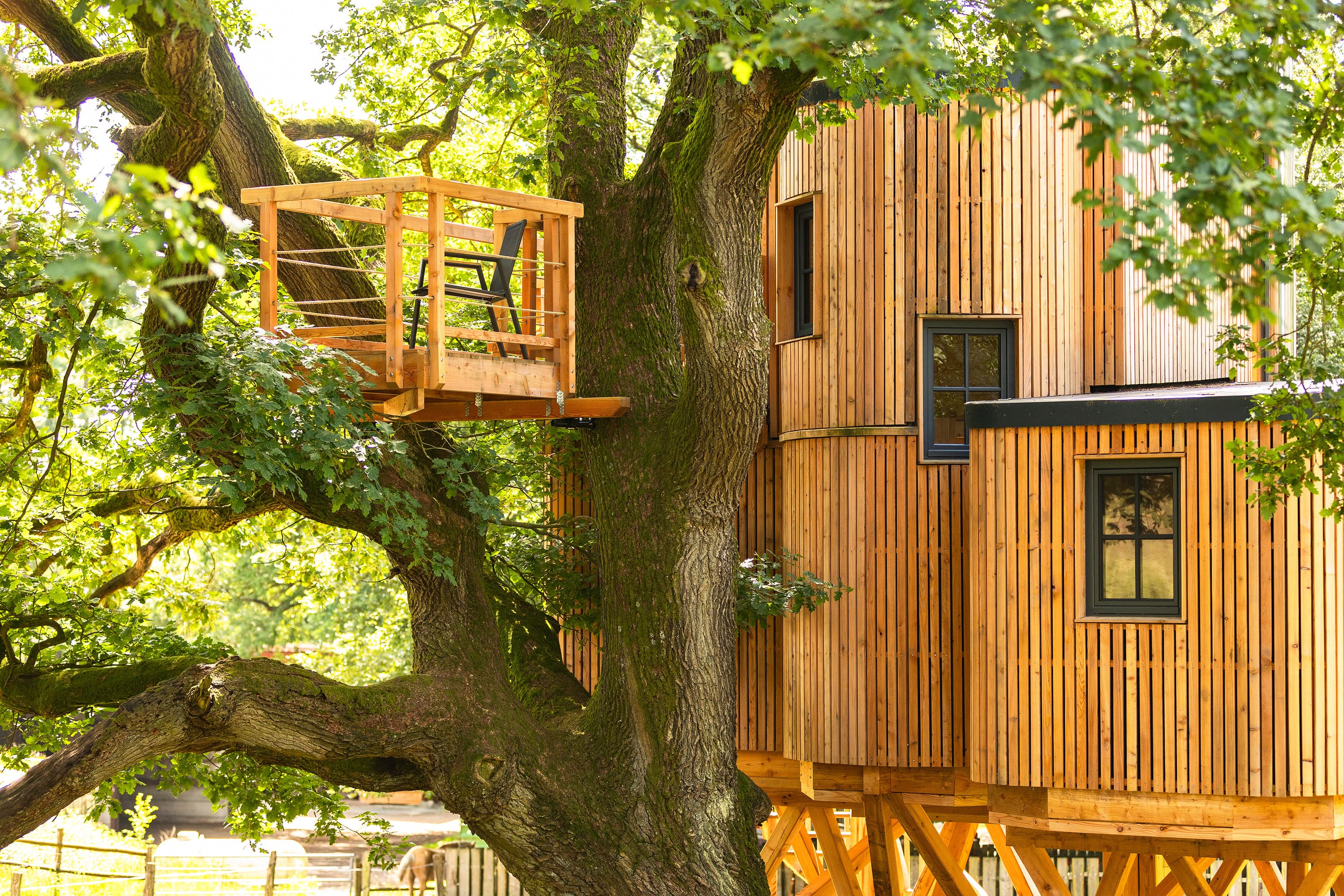 Übernachtung im baumhaus in niedersachsen