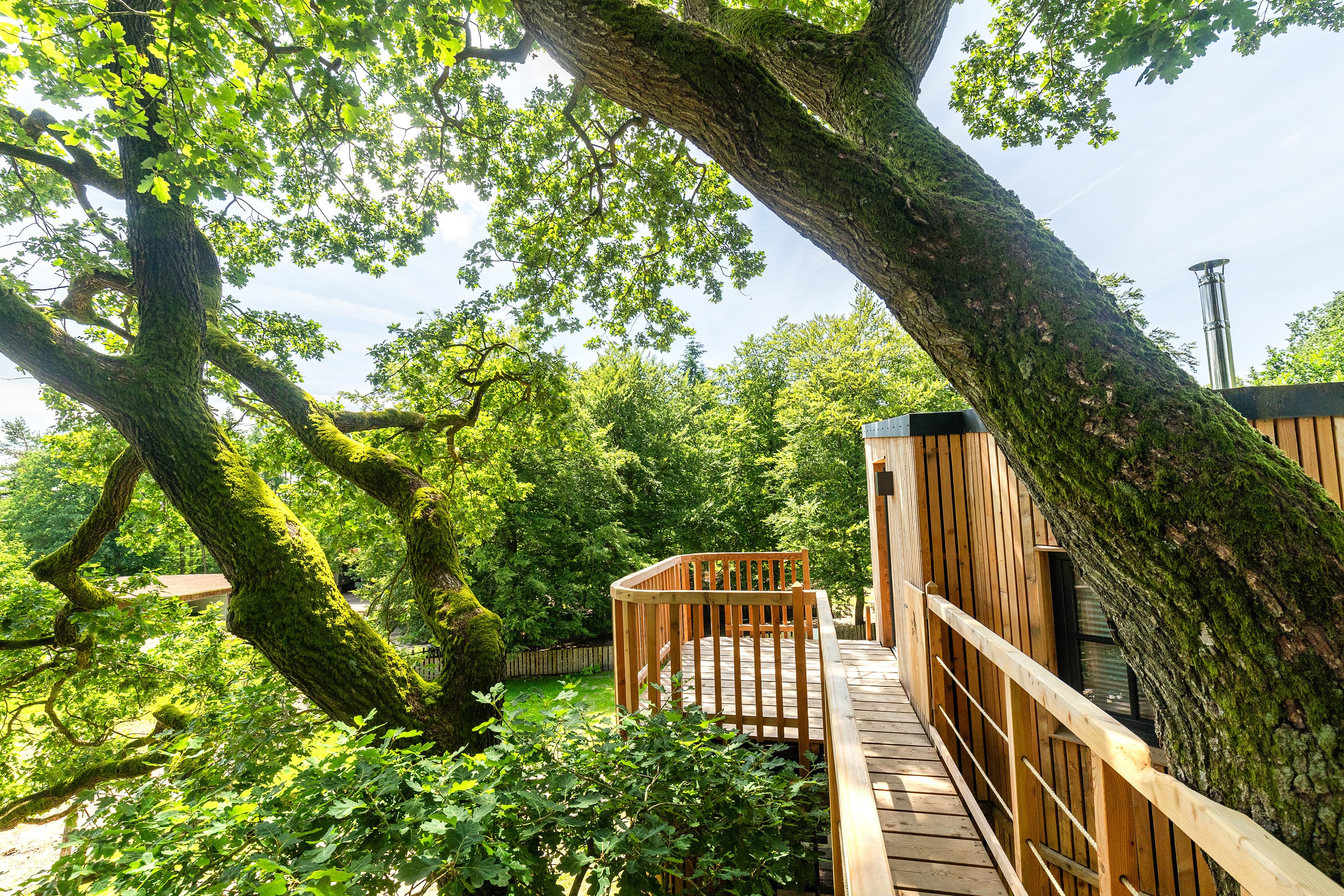 Baumhaus urlaub in der lüneburger heide in bispingen