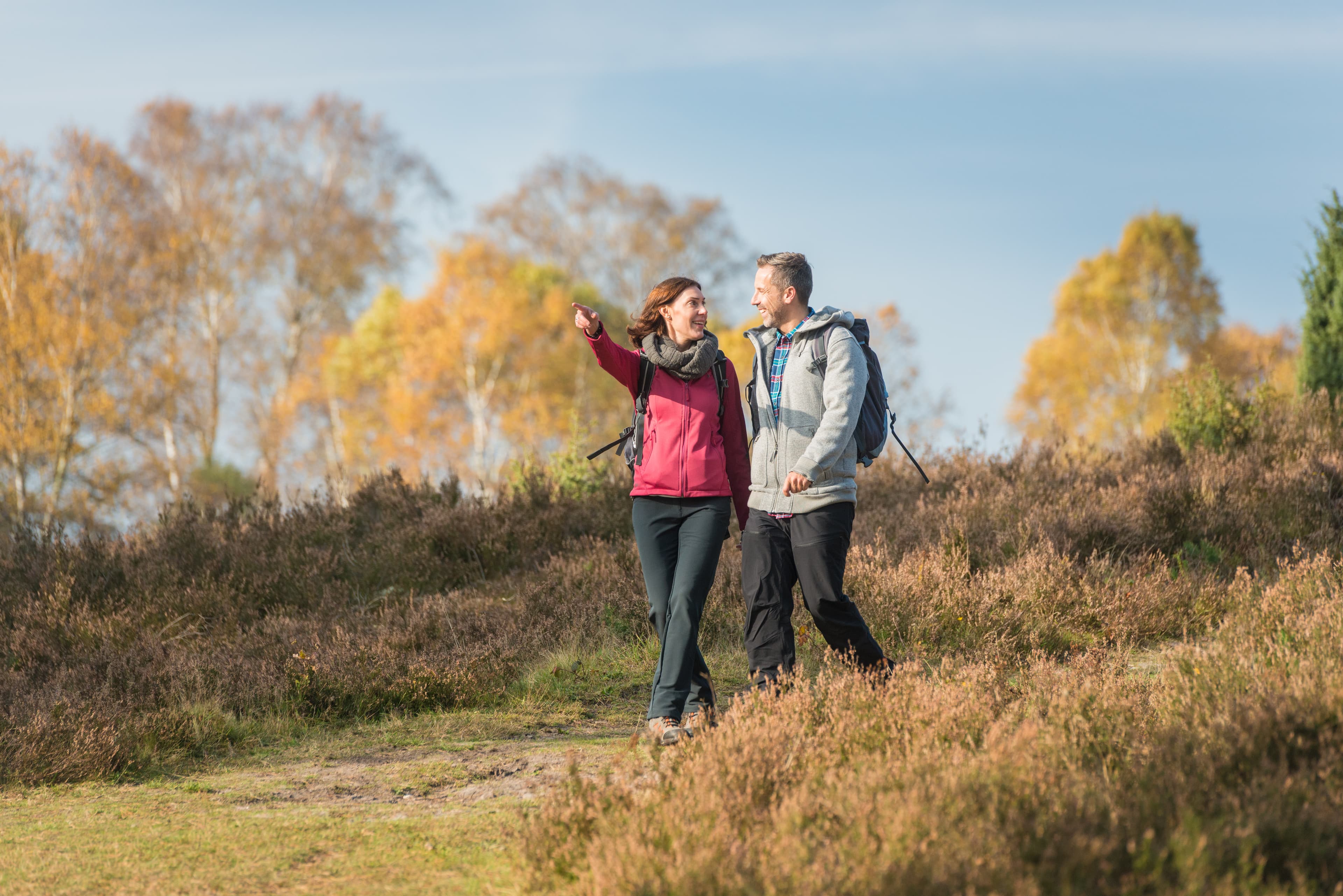 Wandern im Herbst im Tiefental in der Lüneburger Heide