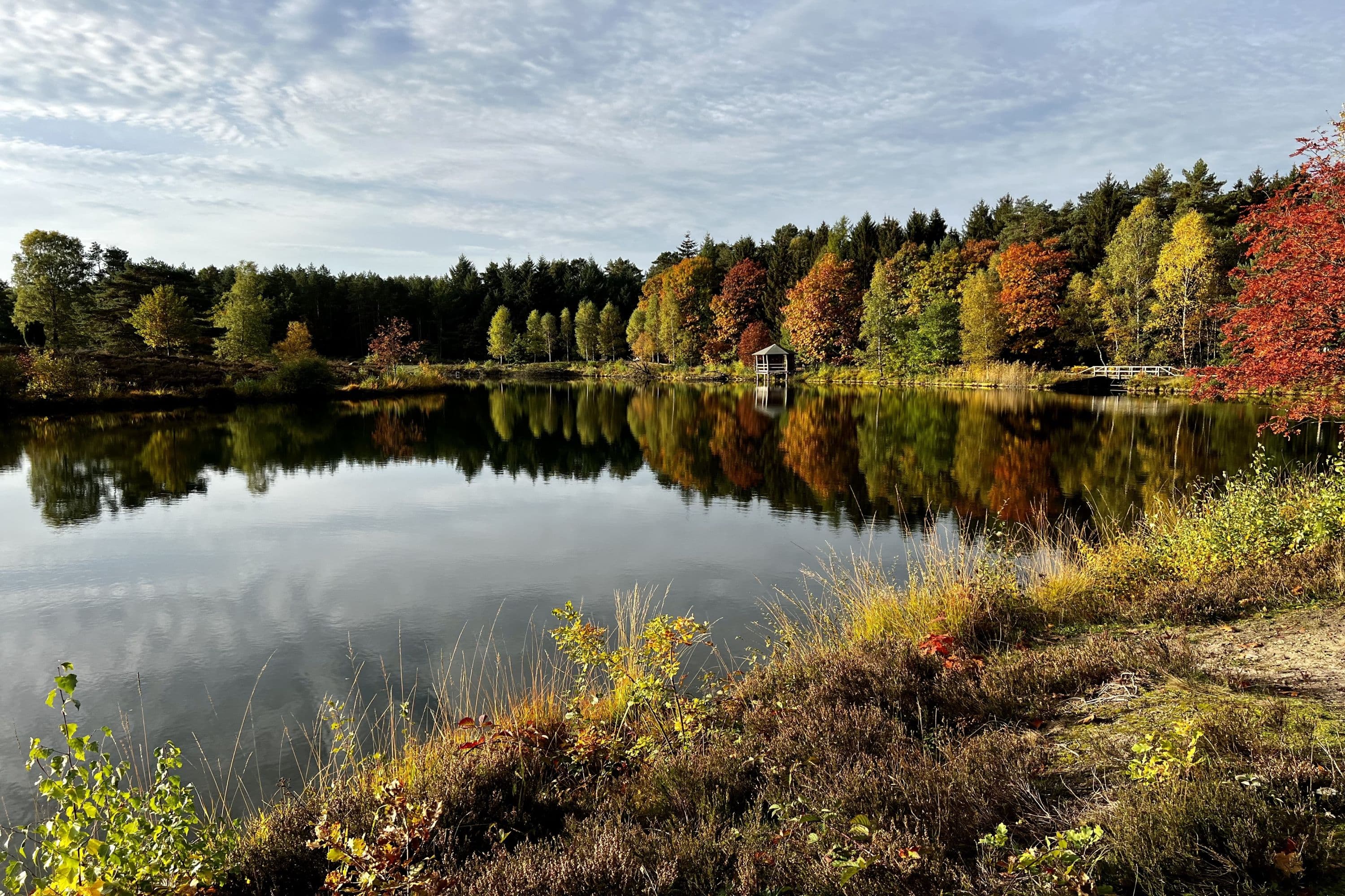 Angelbecksteich im Herbst am Heidschnuckenweg bei Hermannsburg Lüneburger Heide