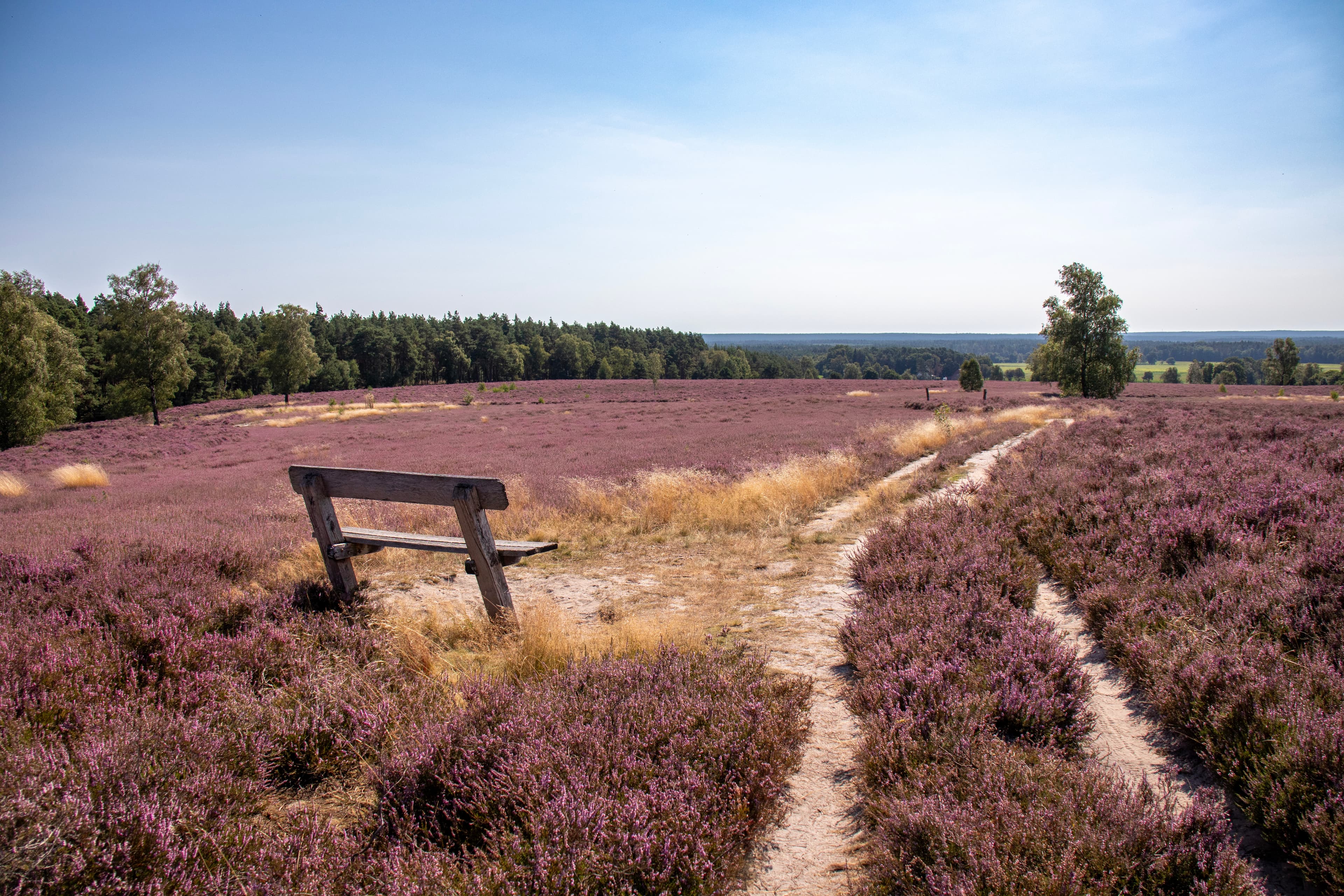 Wietzer BergWietzer BergWietzer BergWietzer Berg