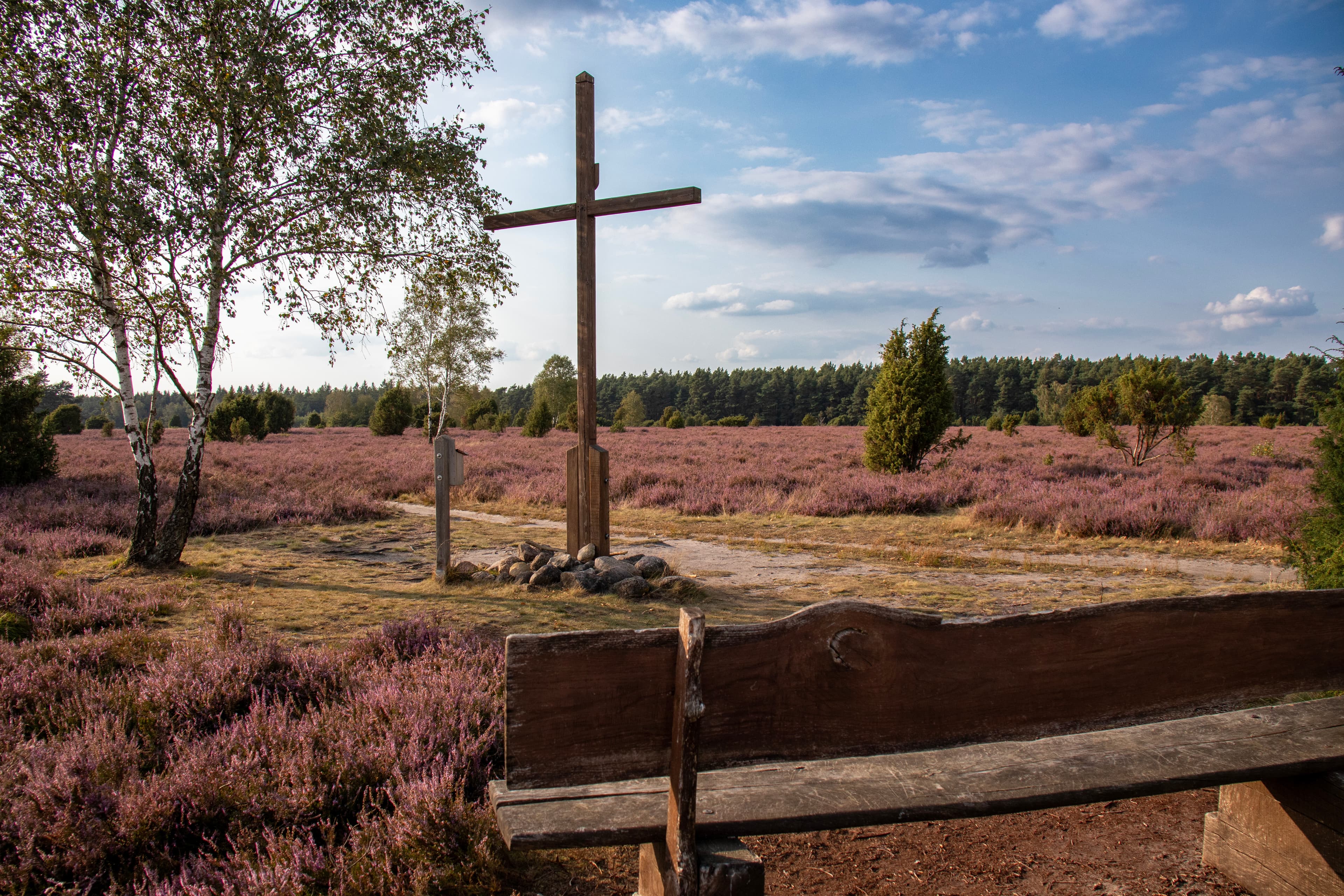 Wacholderwald Schmarbeck
