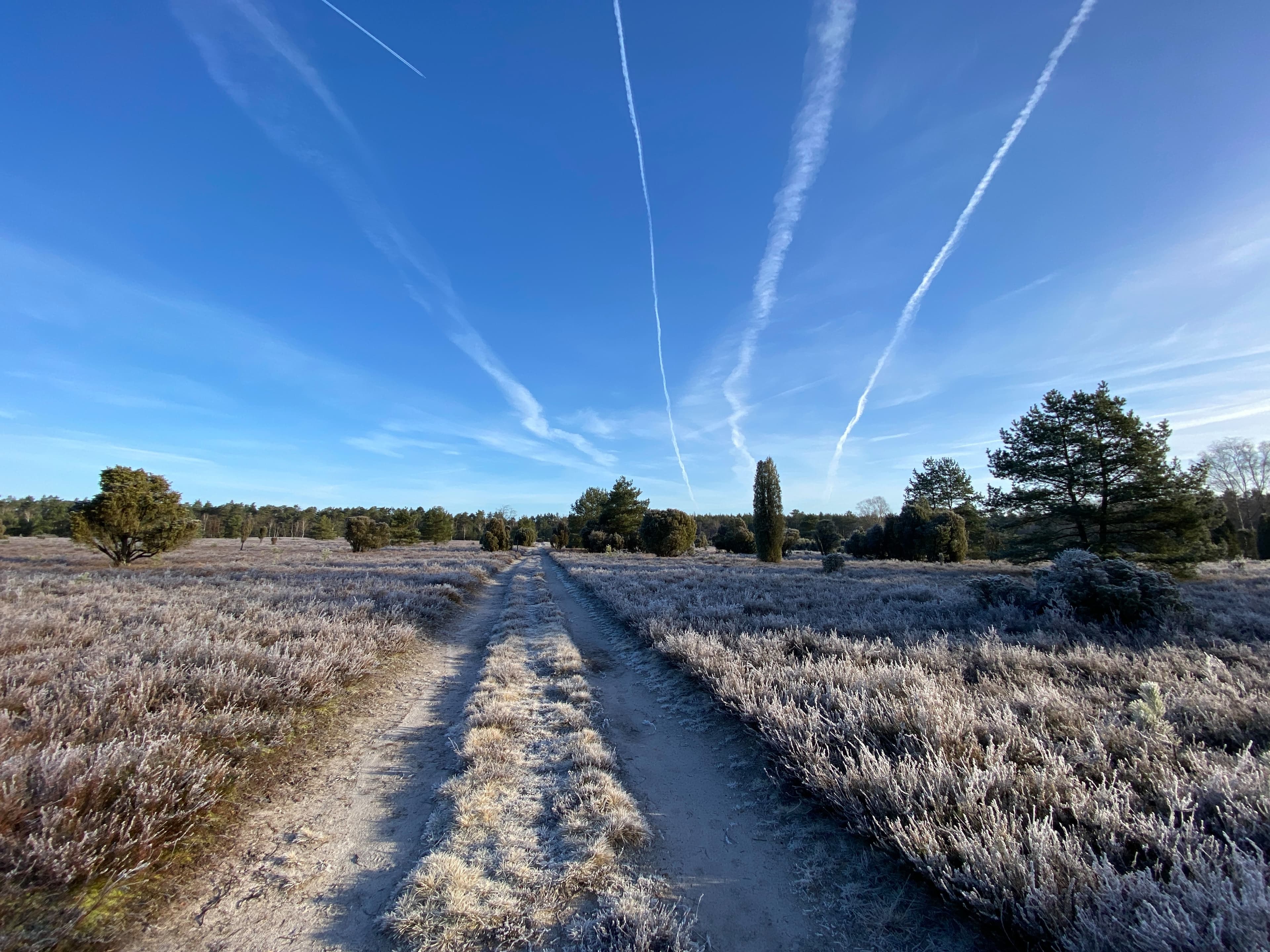 Oberohe Oberoher Heide winter