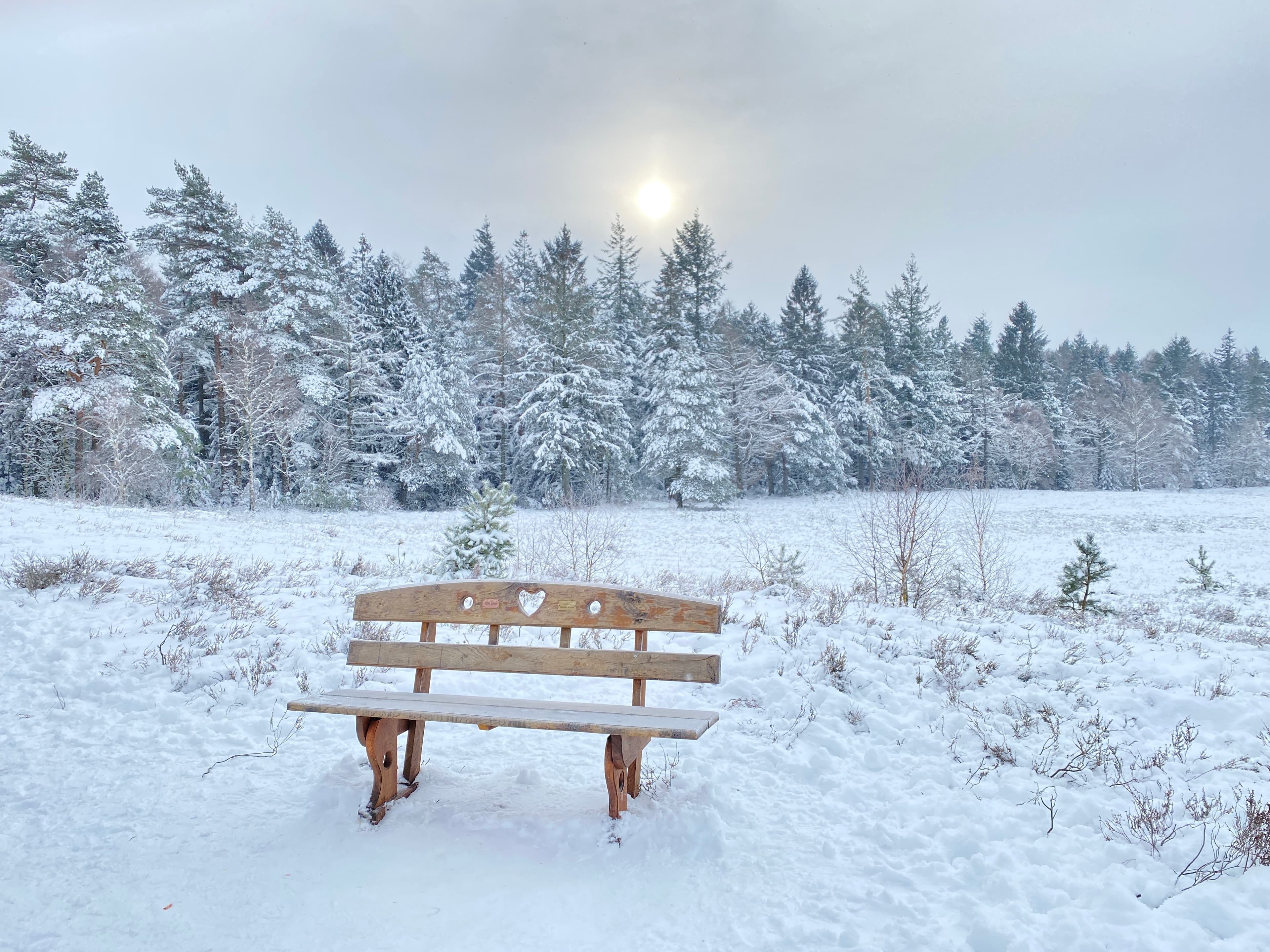 Undeloh Weseler Heide Schnee