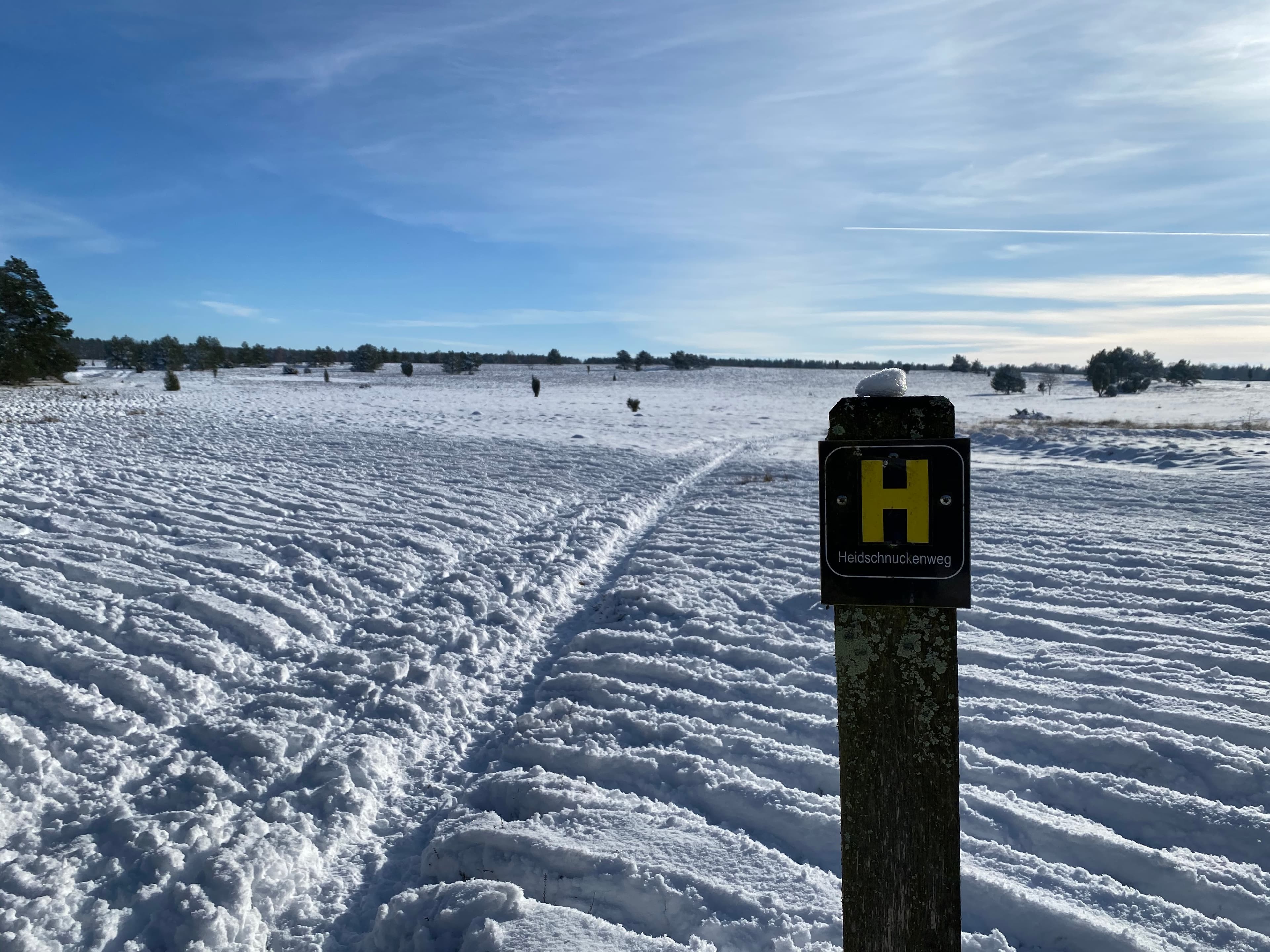 Oberohe Oberoher Heide Winter Schnee Heidschnuckenweg