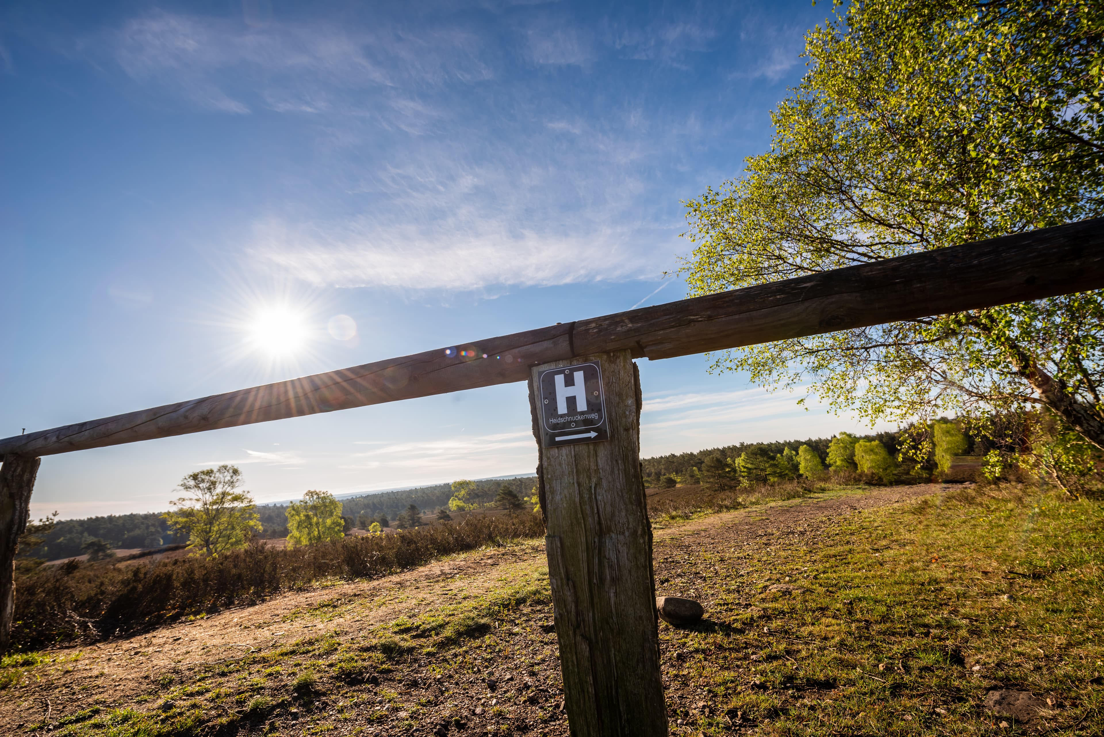 Wandern auf dem Heidschnuckenweg im Frühling in der Lüneburger Heide