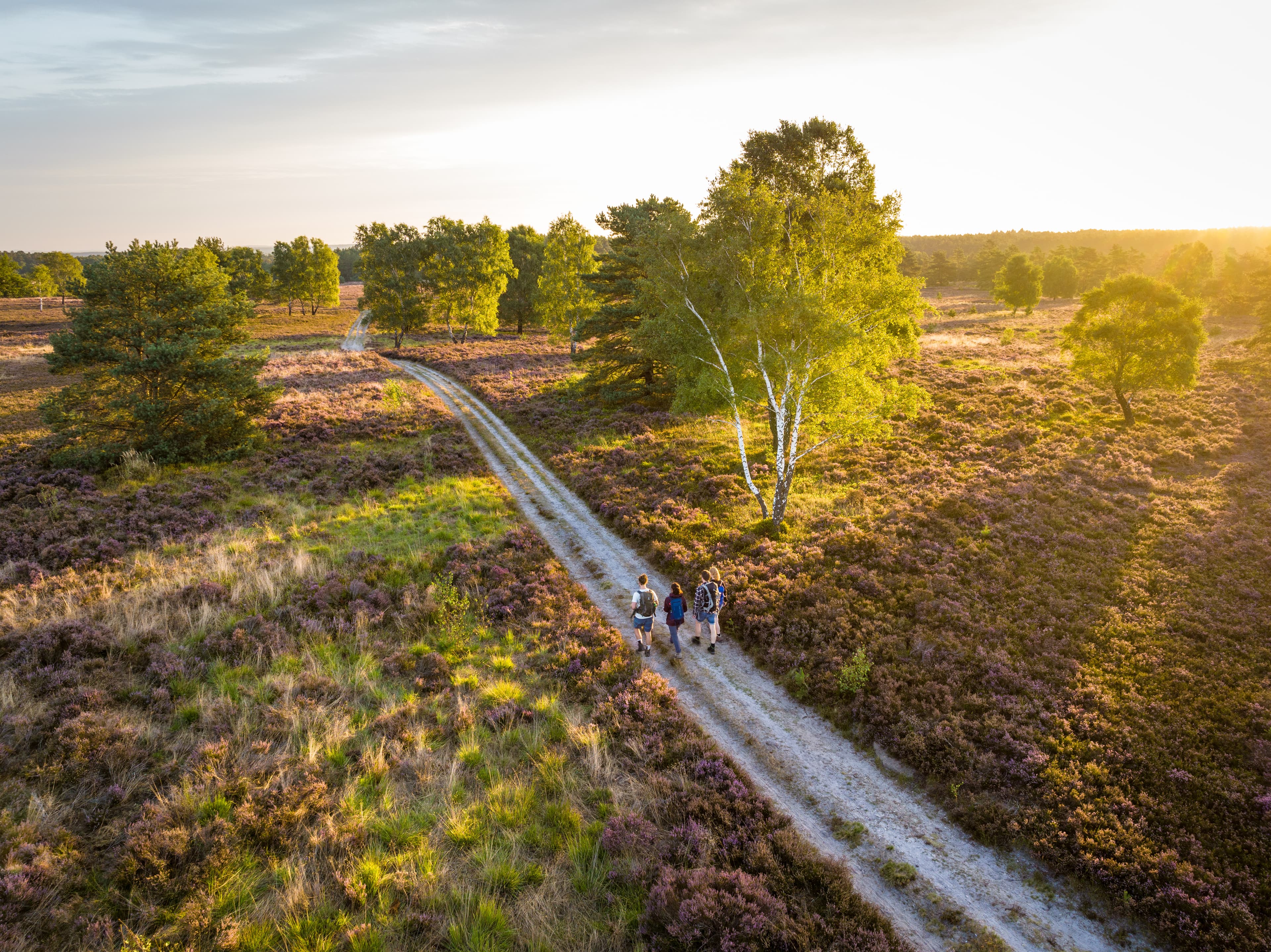 Luftaufnahme Heideschleife Büsenbachtal