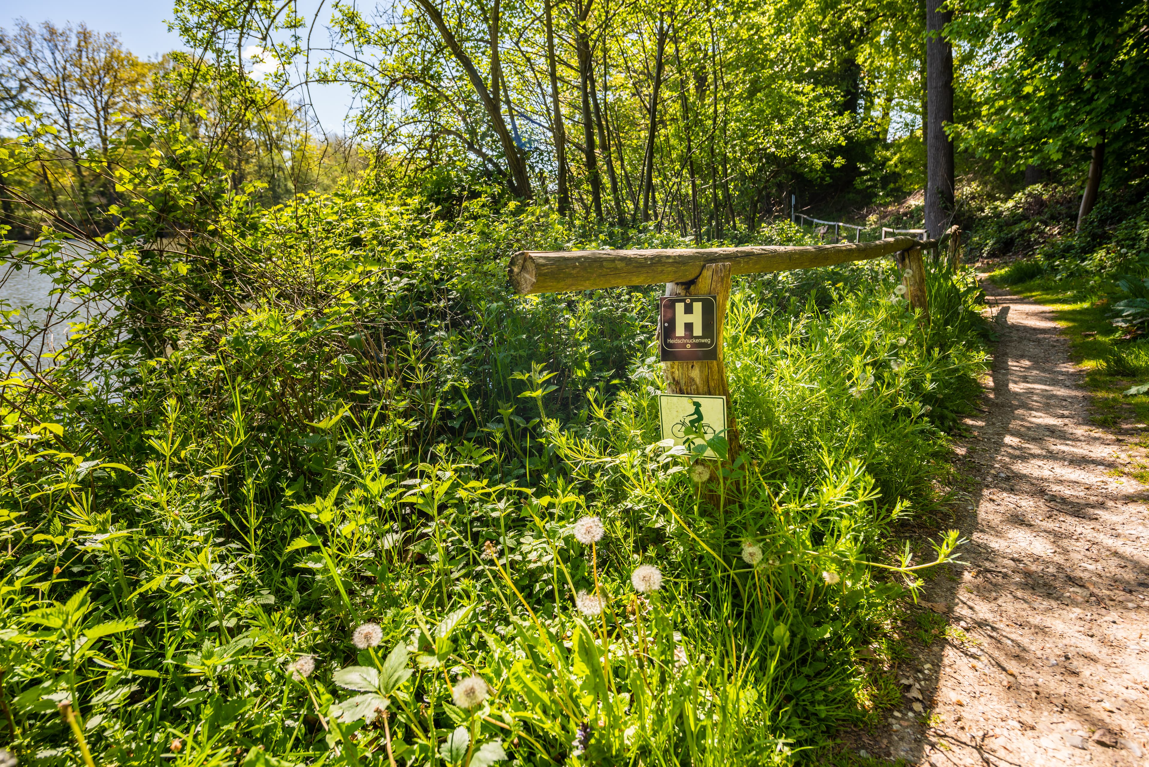 Sonniger Frühlingstag auf dem Heidschnuckenweg in der Lüneburger Heide