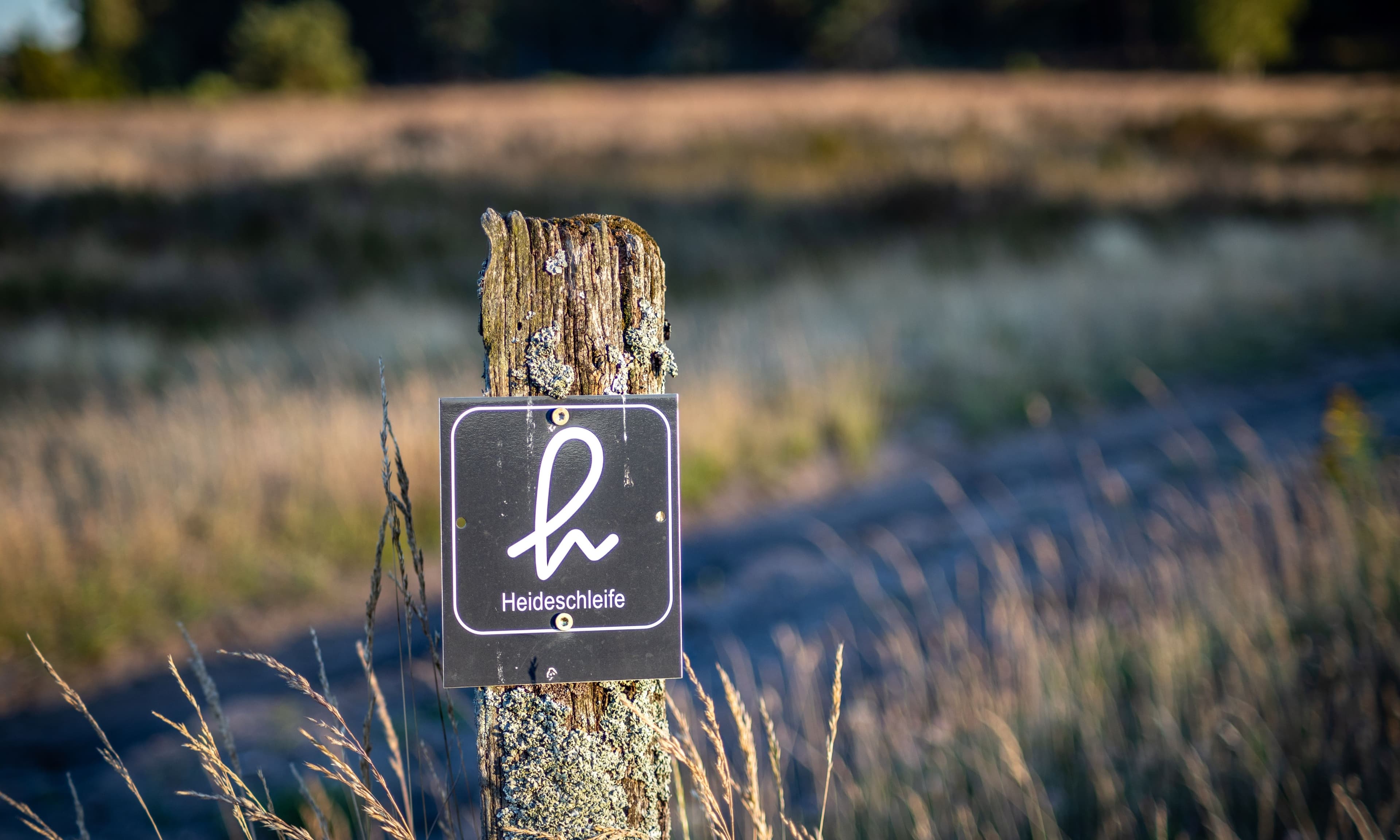 Beschilderung Wanderrundweg Heideschleife in der Lüneburger Heide