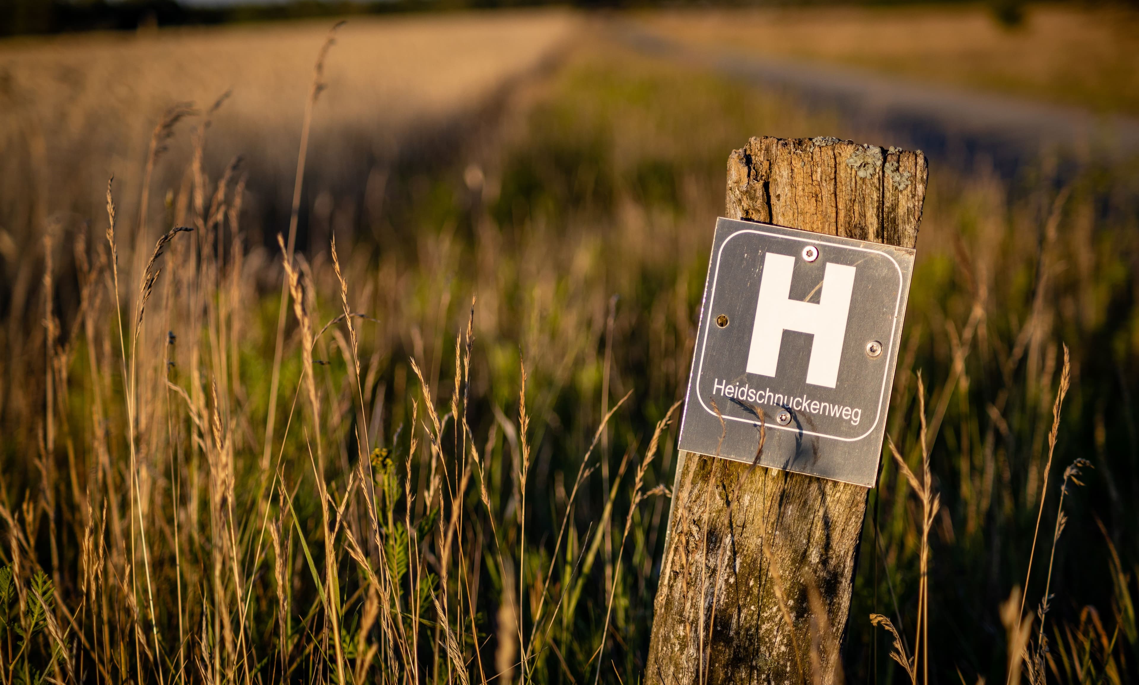 Die Wander-Beschilderung des Heidschnuckenwegs in der Lüneburger Heide