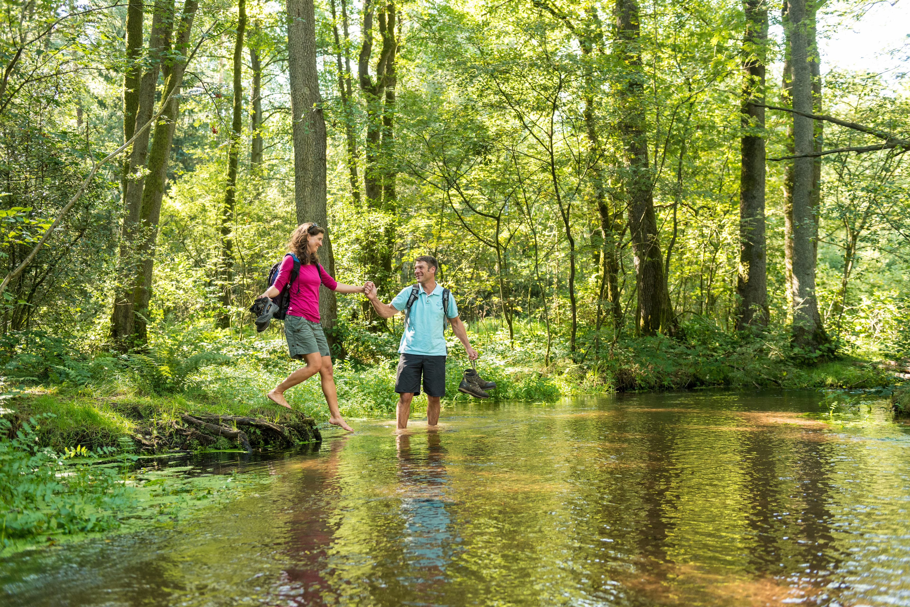 Wandern im Sommer durch Wälder und Flüsse am Heidschnuckenweg