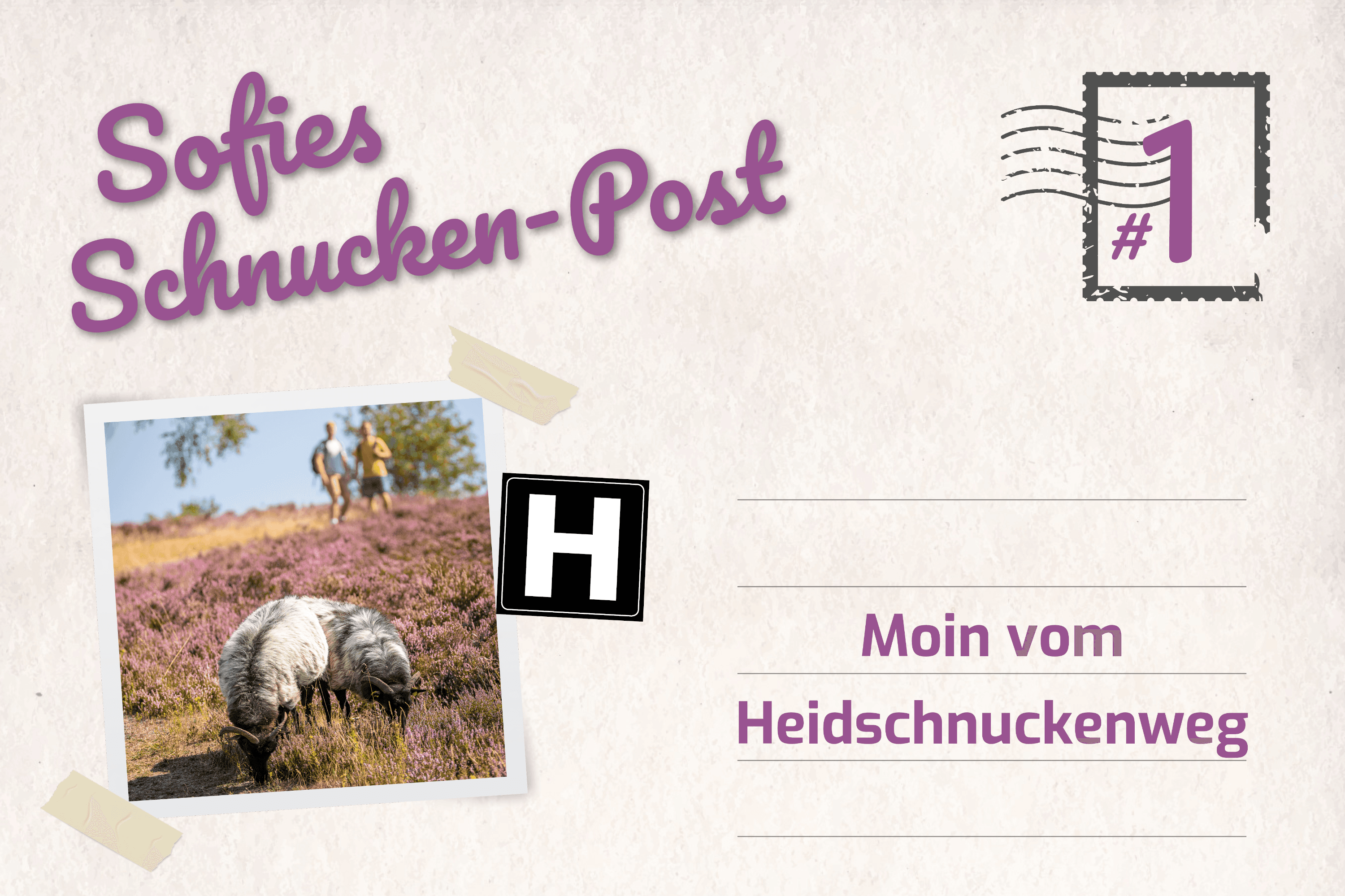 Start der neuen Wander-Kolumne vom Heidschnuckenweg - Sofies Schnucken-Post