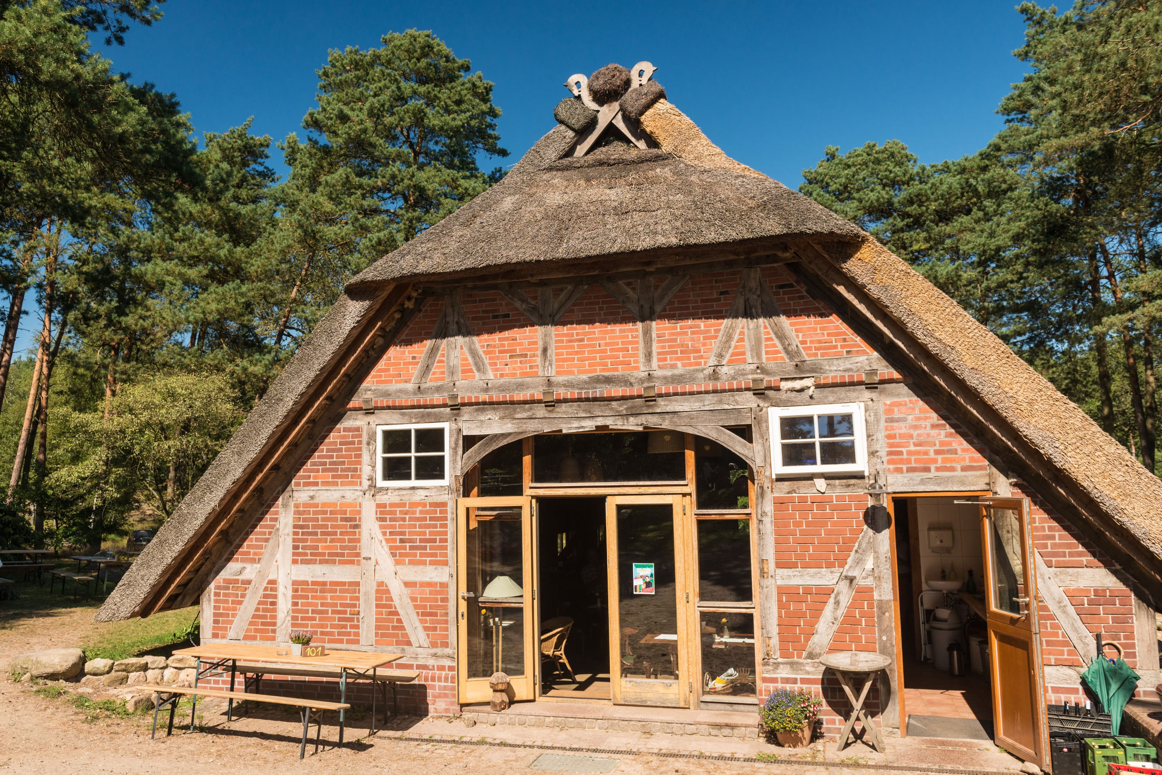 Wandern auf dem Heidschnuckenweg in der Lüneburger Heide