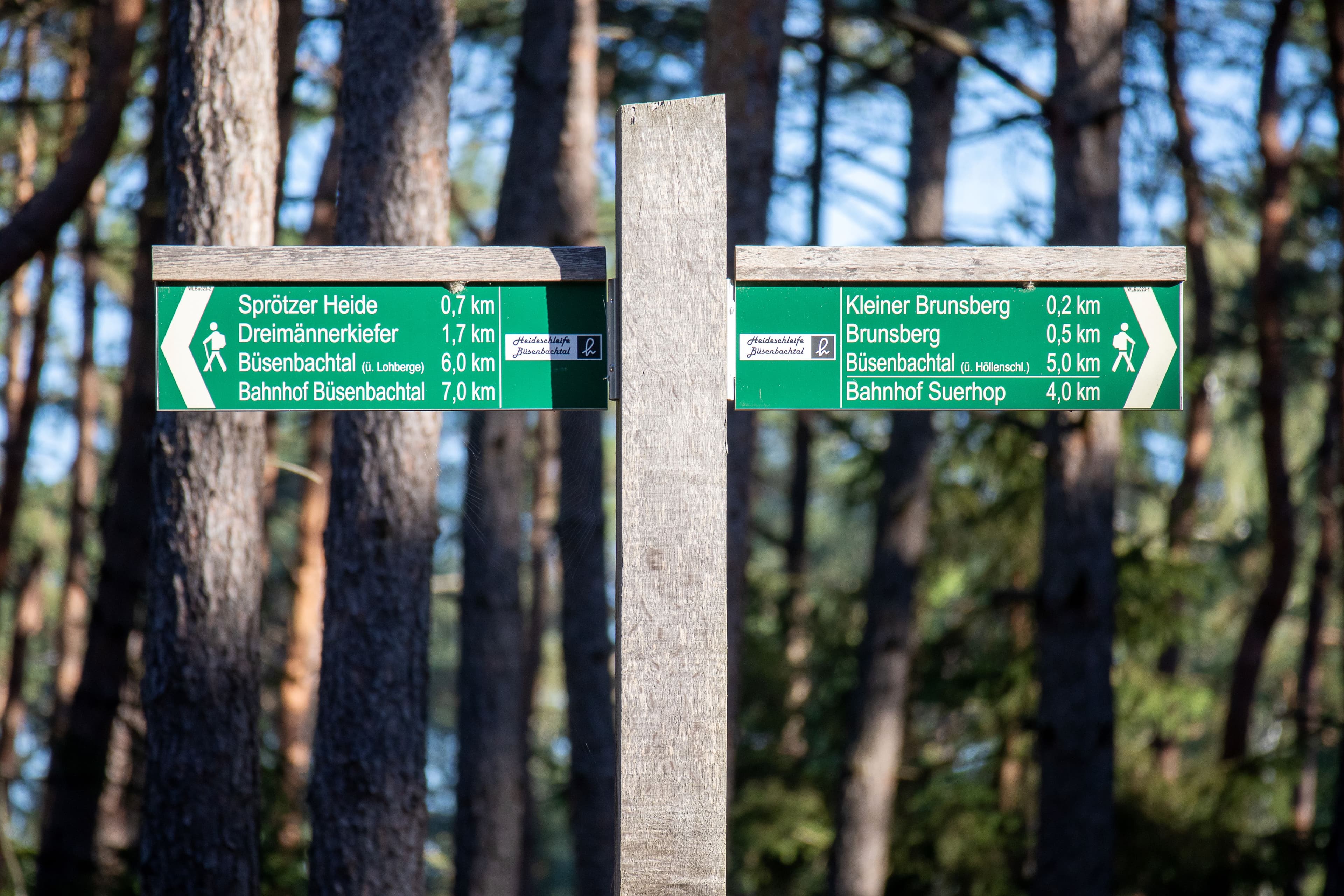 Beschilderung am Heidschnuckenweg zwischen Buchholz und Handeloh