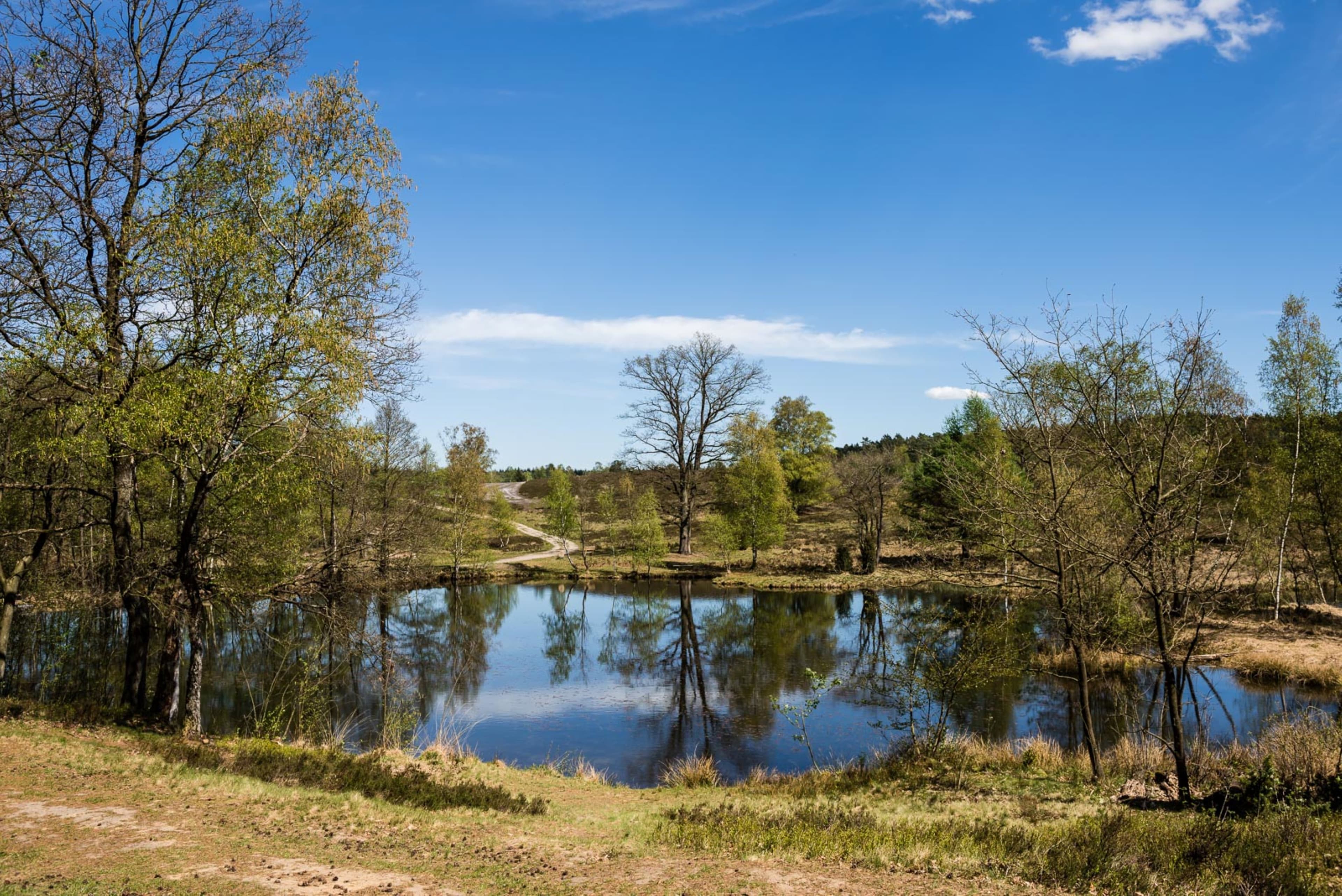 Wandern auf dem Heidschnuckenweg in der Lüneburger Heide