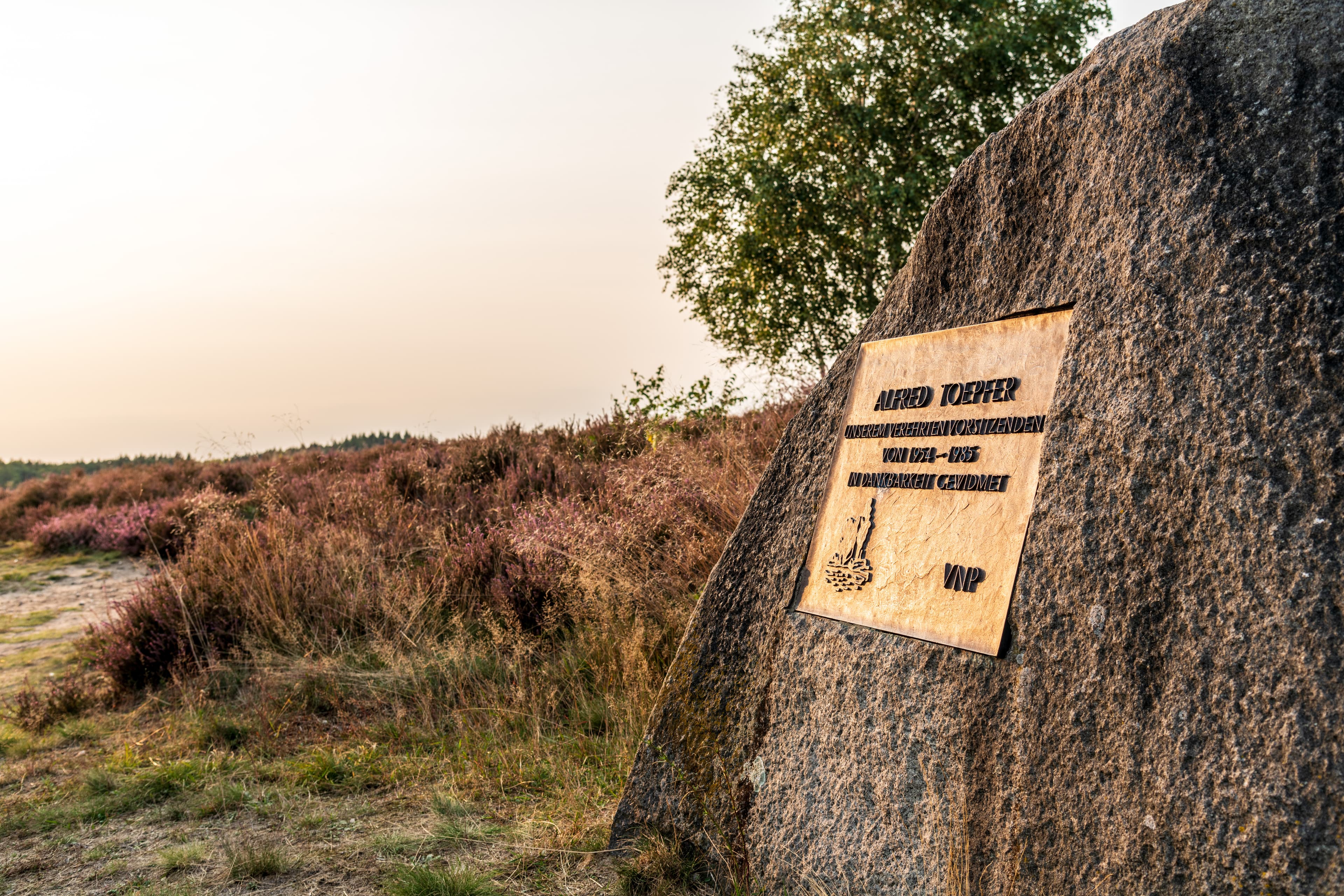 Wandern auf dem Heidschnuckenweg in der Lüneburger Heide