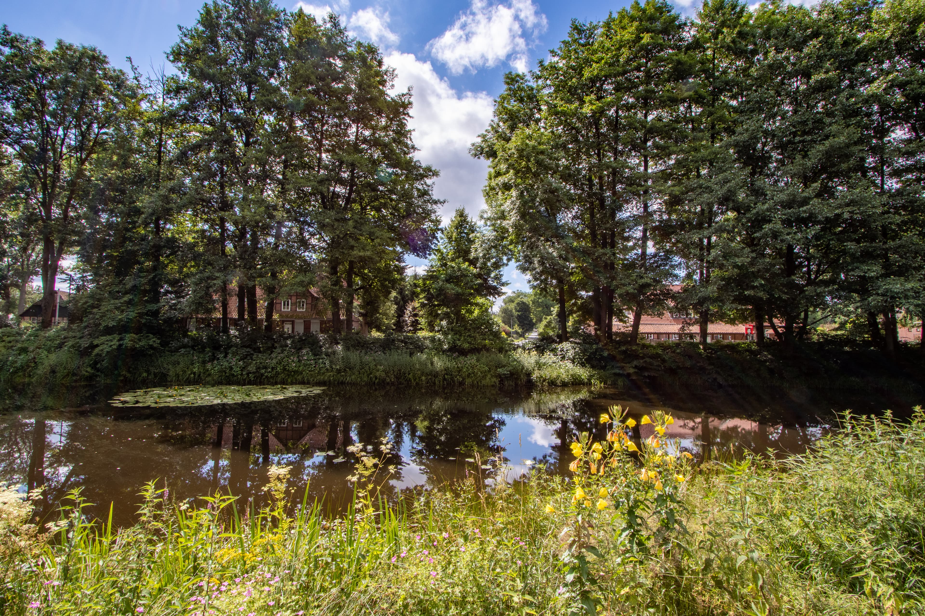 Sofies Blog zum Wandern auf dem Heidschnuckenweg
