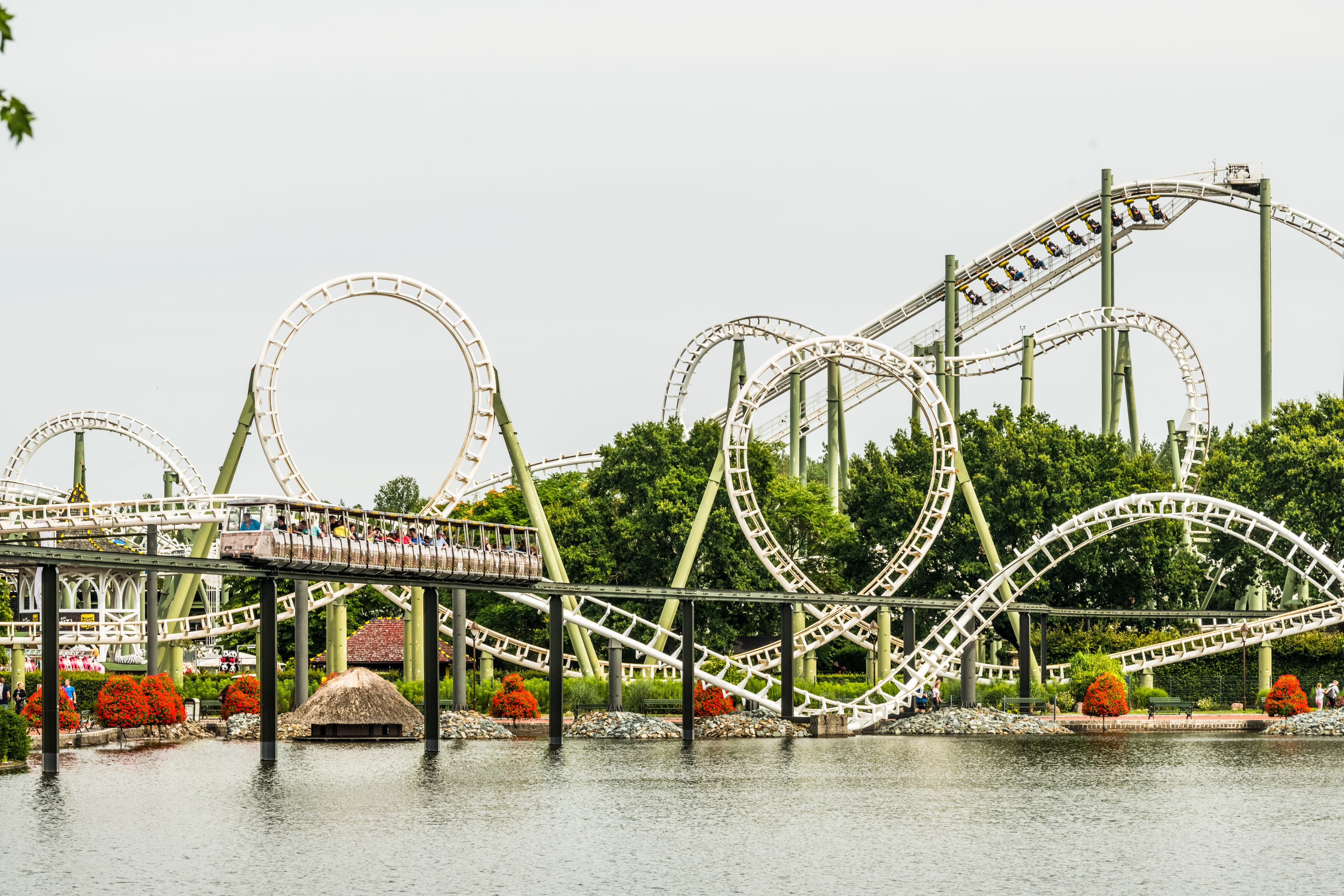 Sofies Blog zum Wandern auf dem Heidschnuckenweg