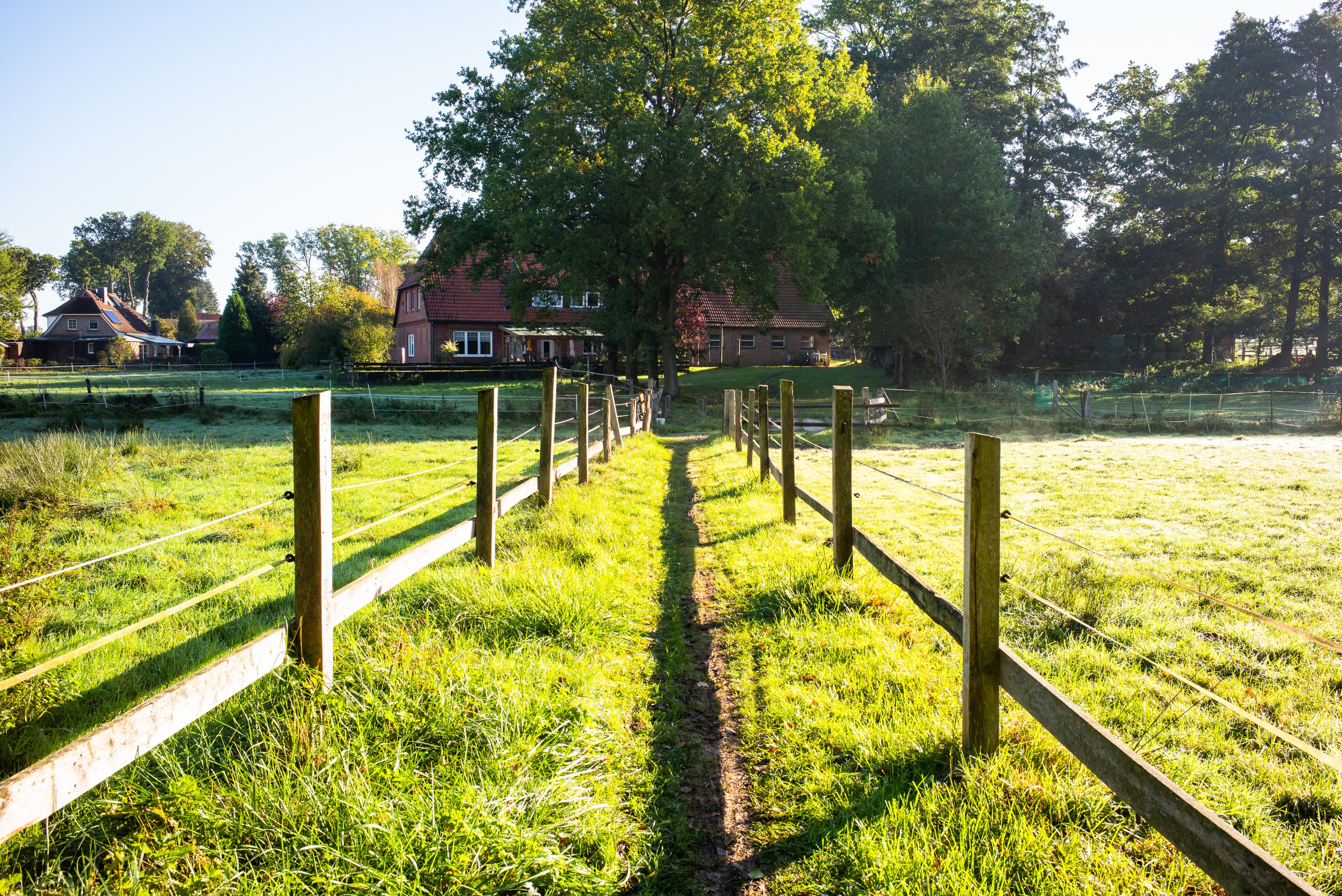 Sofies Blog zum Wandern auf dem Heidschnuckenweg