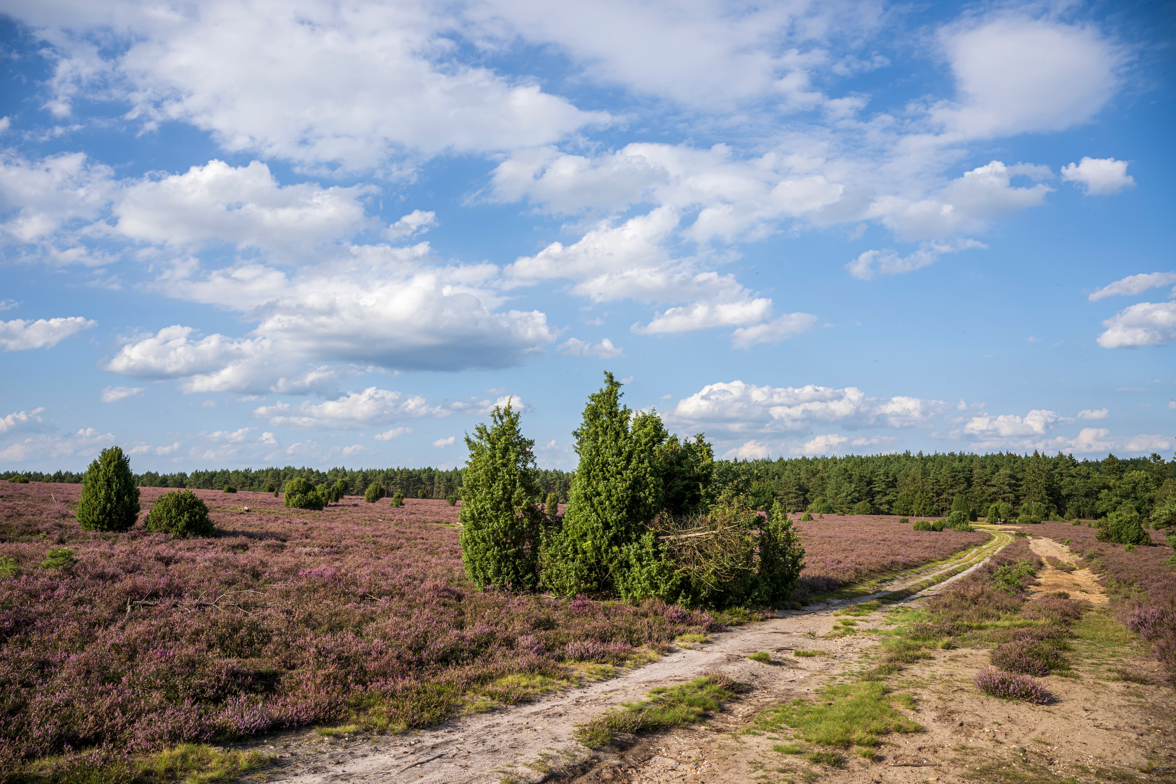 Hausselberg Müden Örtze