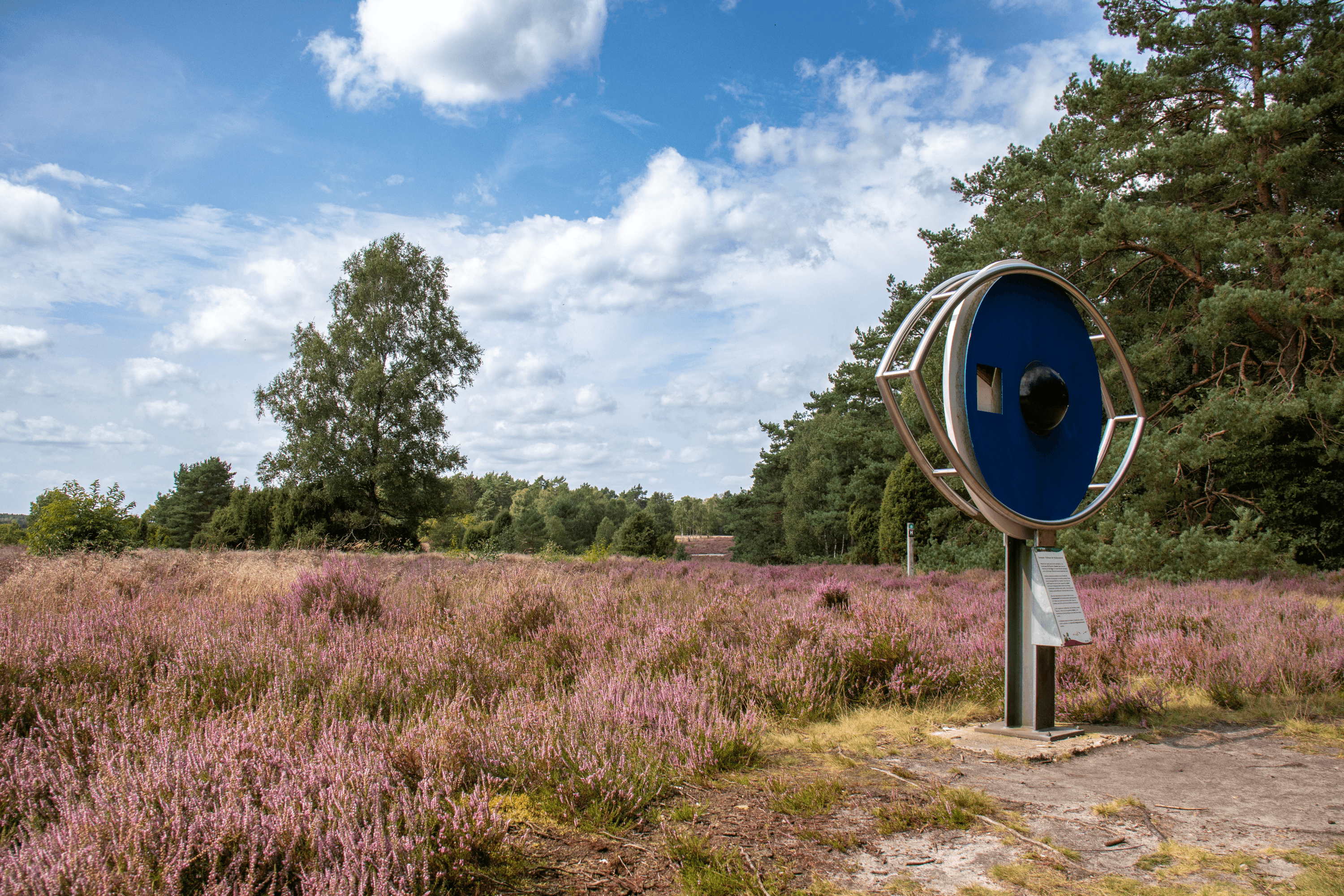 Schillohsberg Lutterloh im Naturpark Südheide