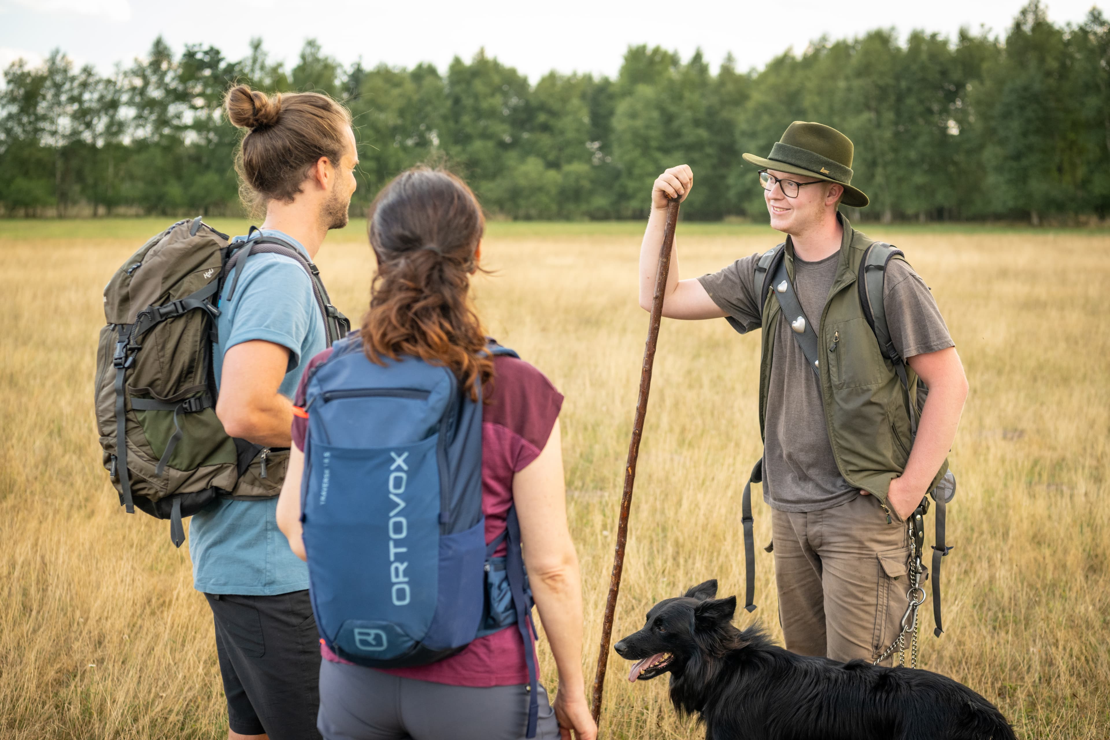 Wanderer in der Lüneburger Heide treffen einen Schäfer