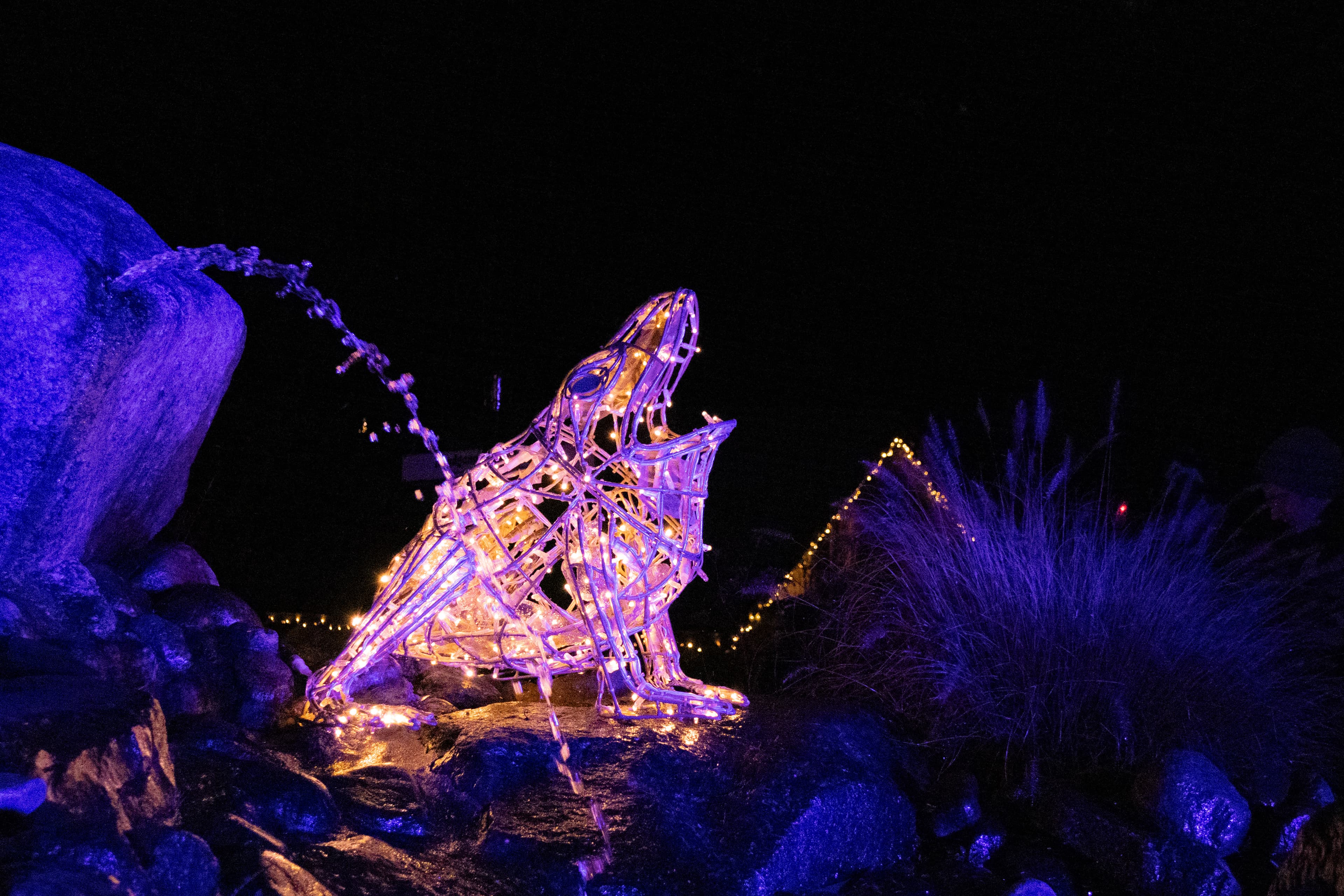 leuchtende figur von einem übergroßen frosch im dunkeln