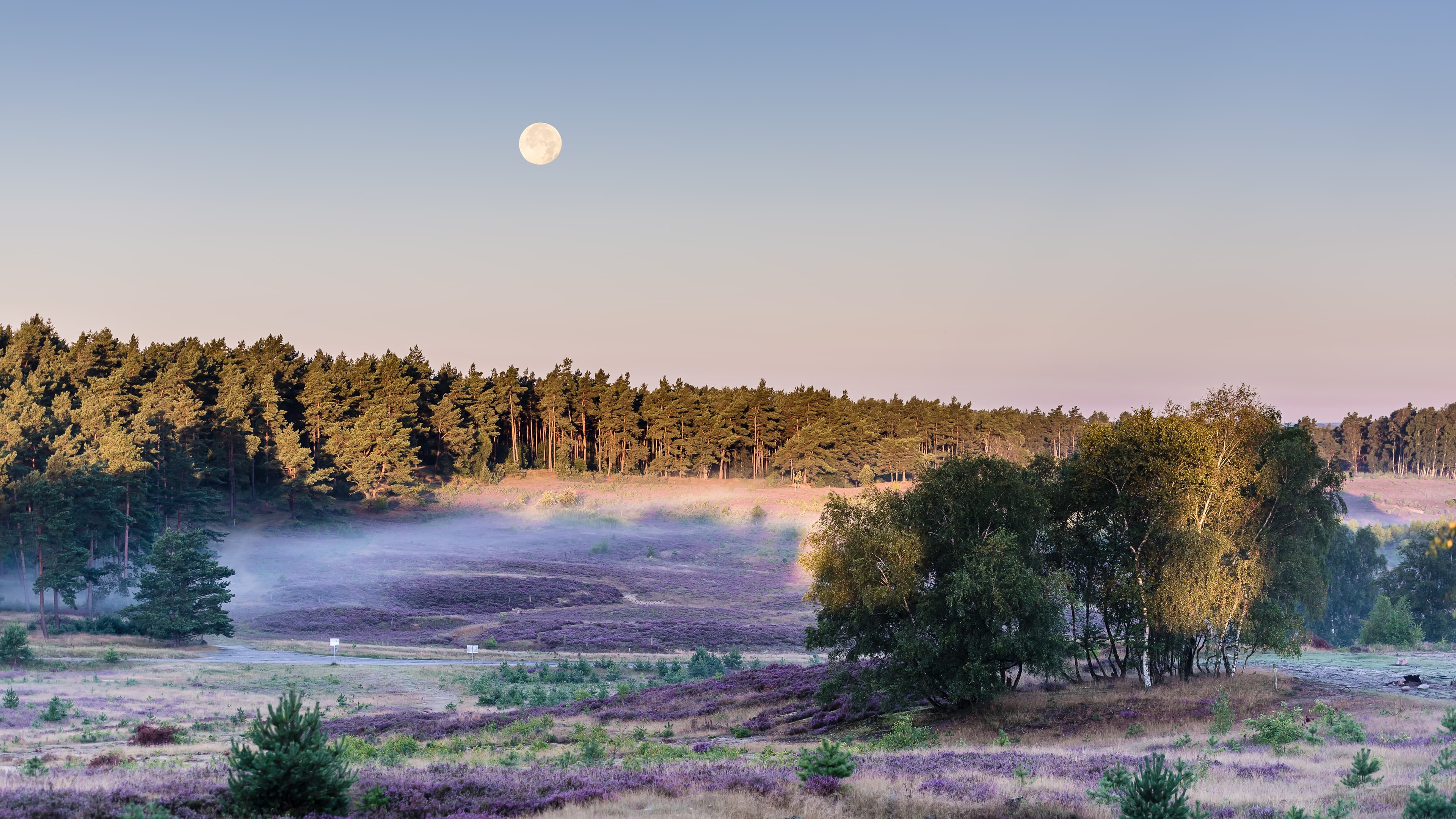 Vollmond über dem Heidschnuckenweg