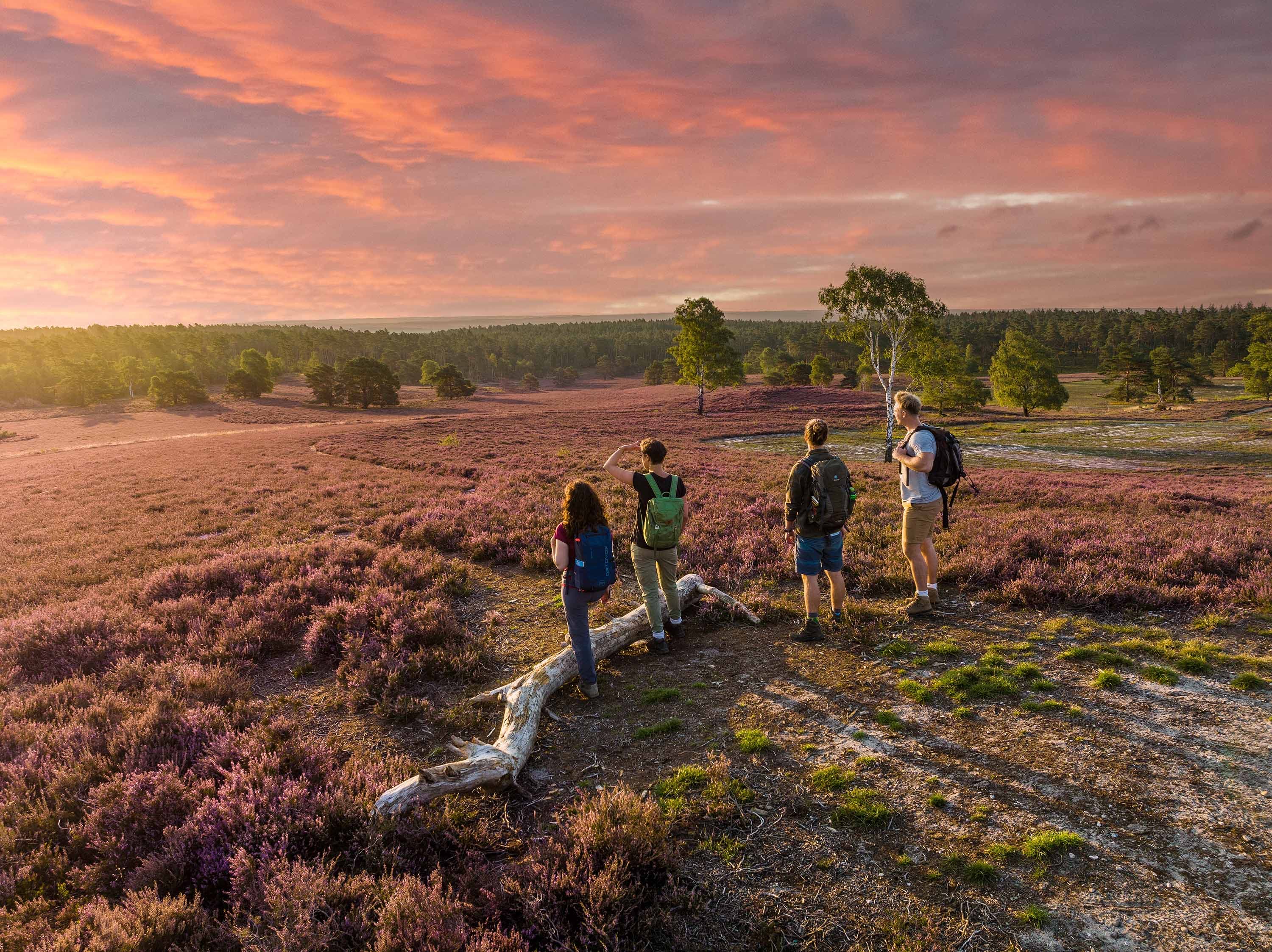 Wandergruppe im Sonnenuntergang bei gemeinsamen Wandertouren durch die Heide