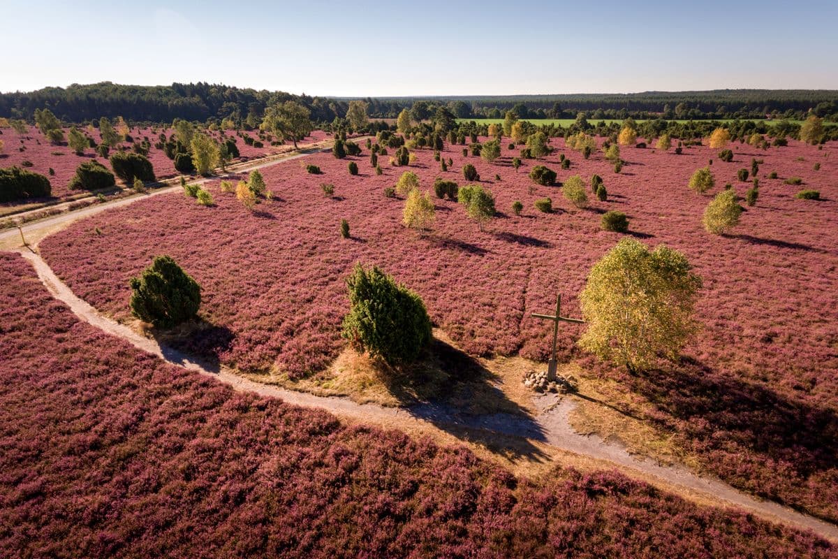 Wacholderwald Schmarbeck, Mueden (Oertze), von oben