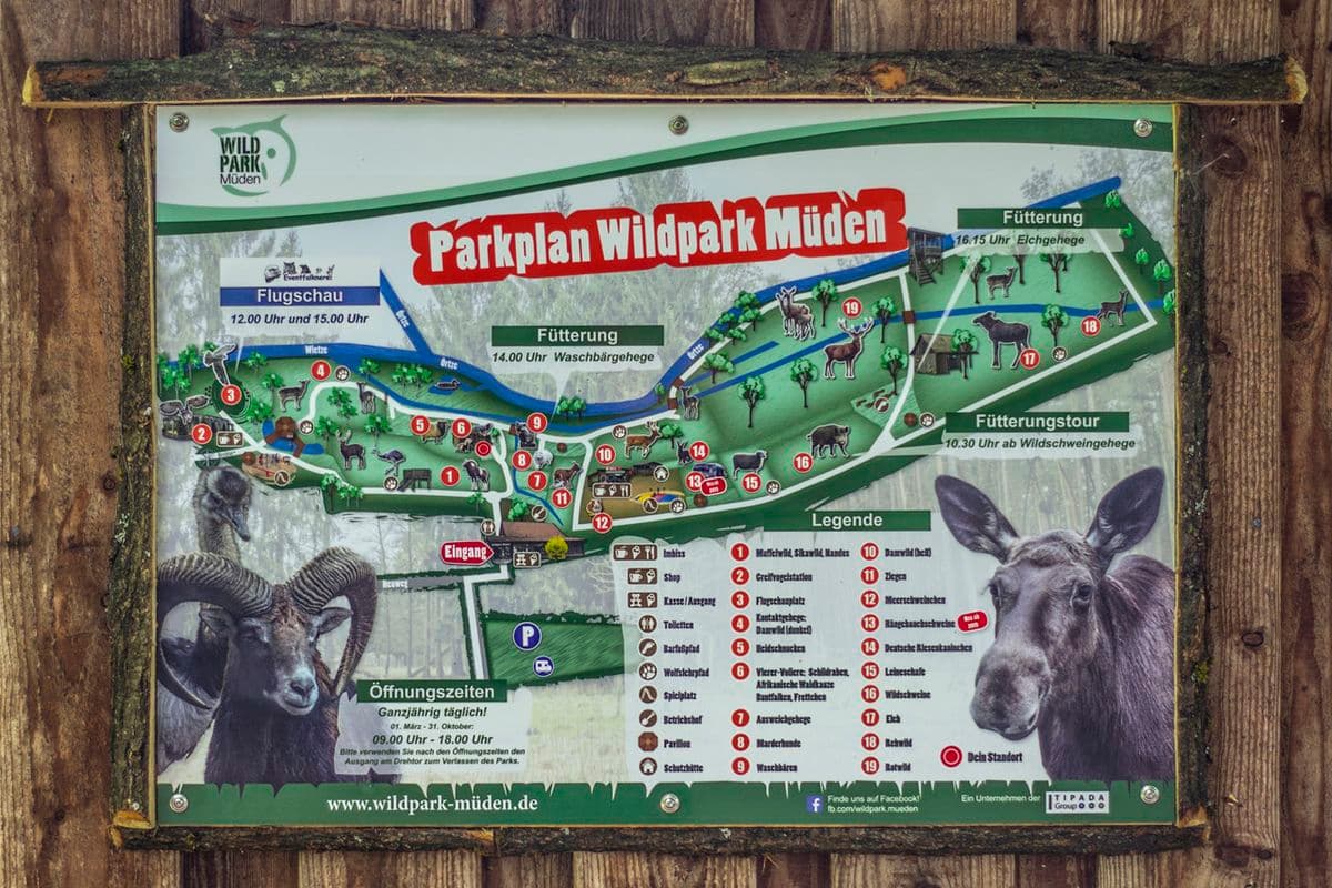 Wildpark Müden - Tierisch nah dran!