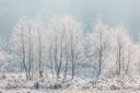 Misselhorner Heide Winter
