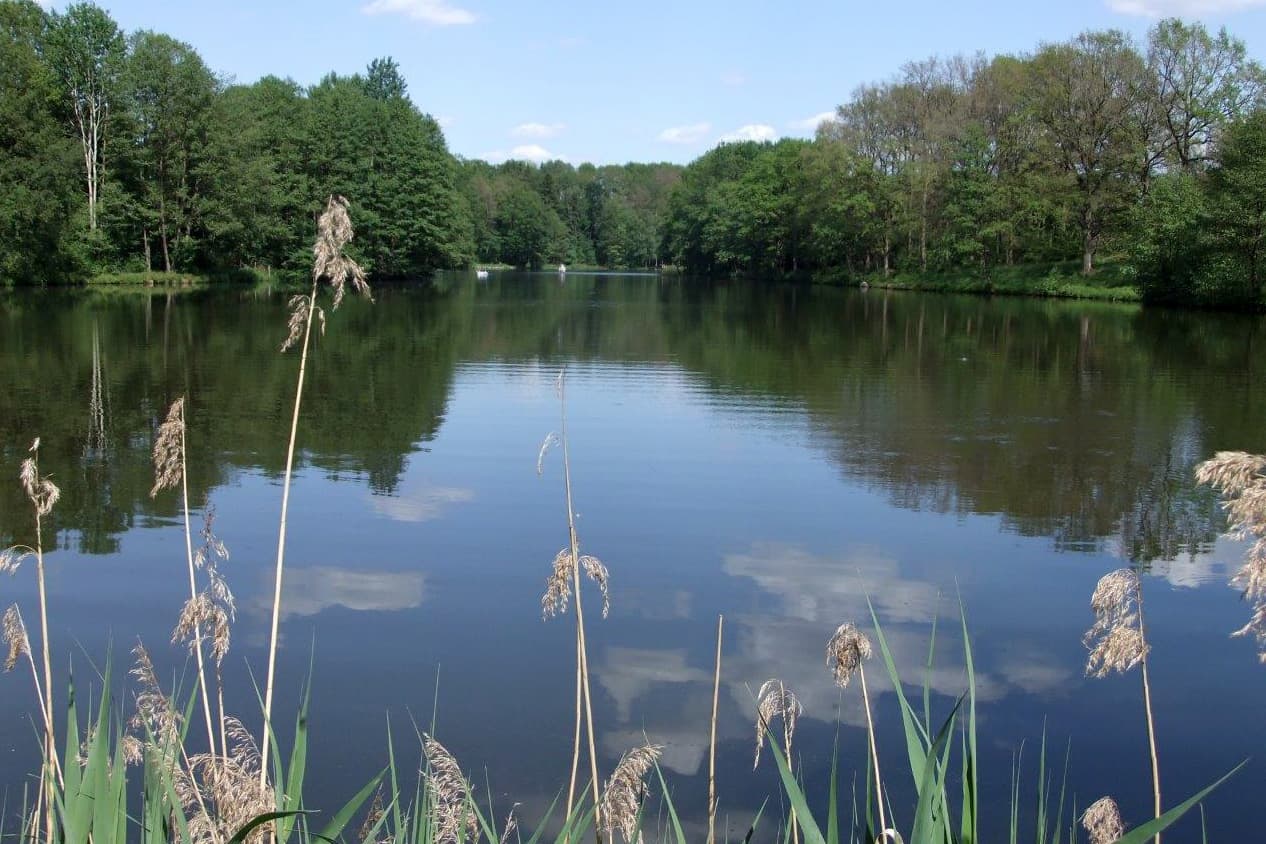 Brunausee bei Behringen Bispingen am Heidschnuckenweg