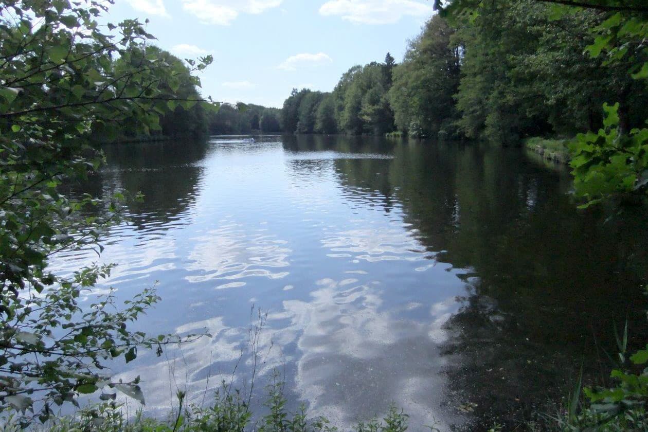 Brunausee bei Behringen am Heidschnuckenweg