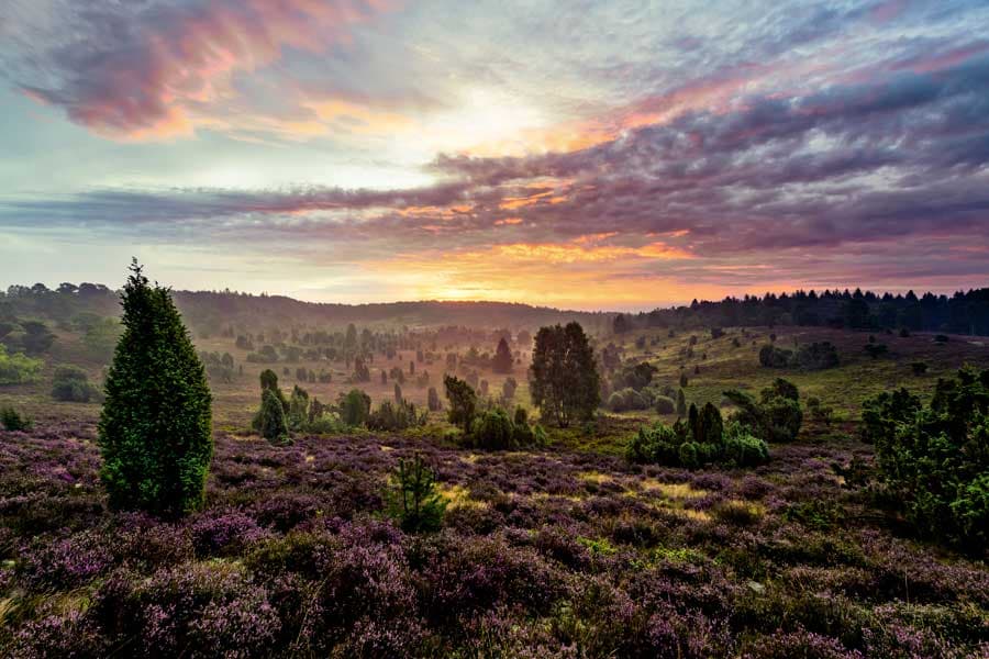 Totengrund Lüneburger Heide Sonnenuntergang