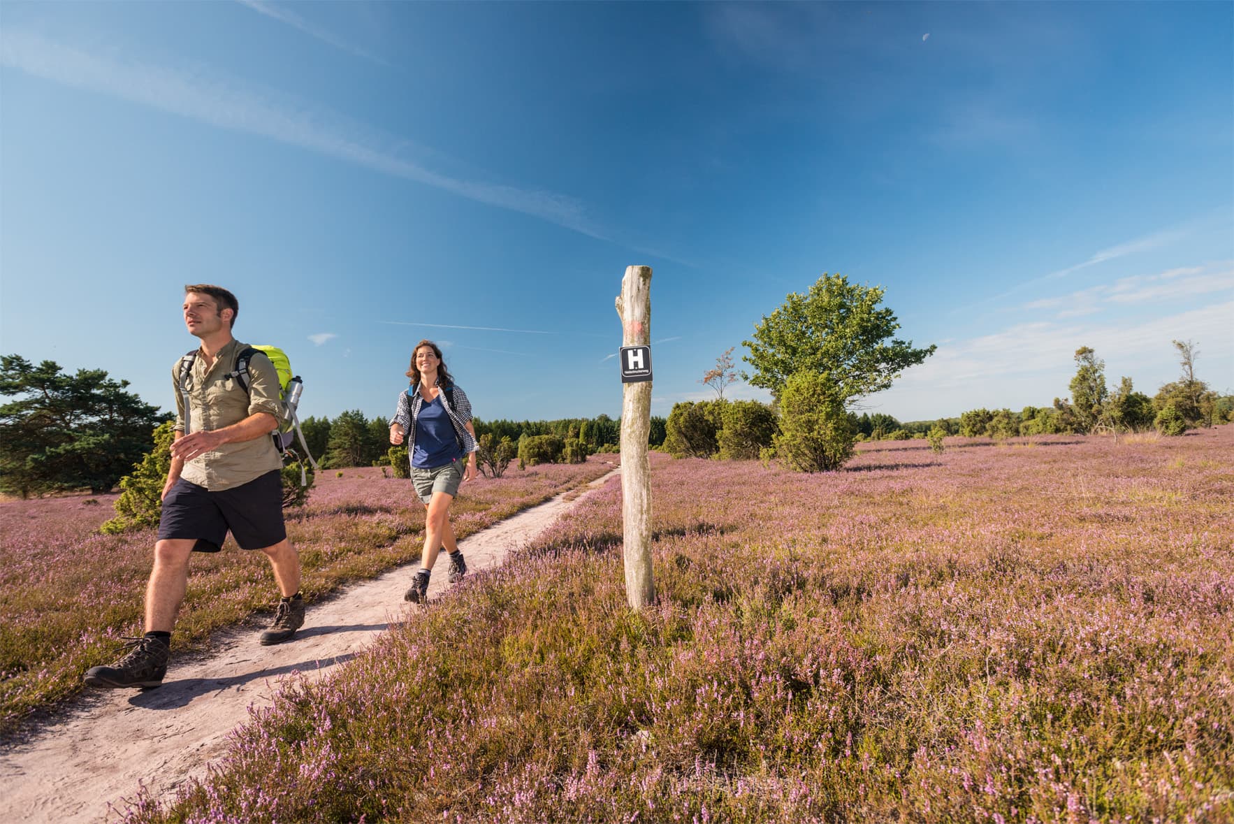 Wacholderwald Schmarbeck Wandern auf dem Heidschnuckenweg