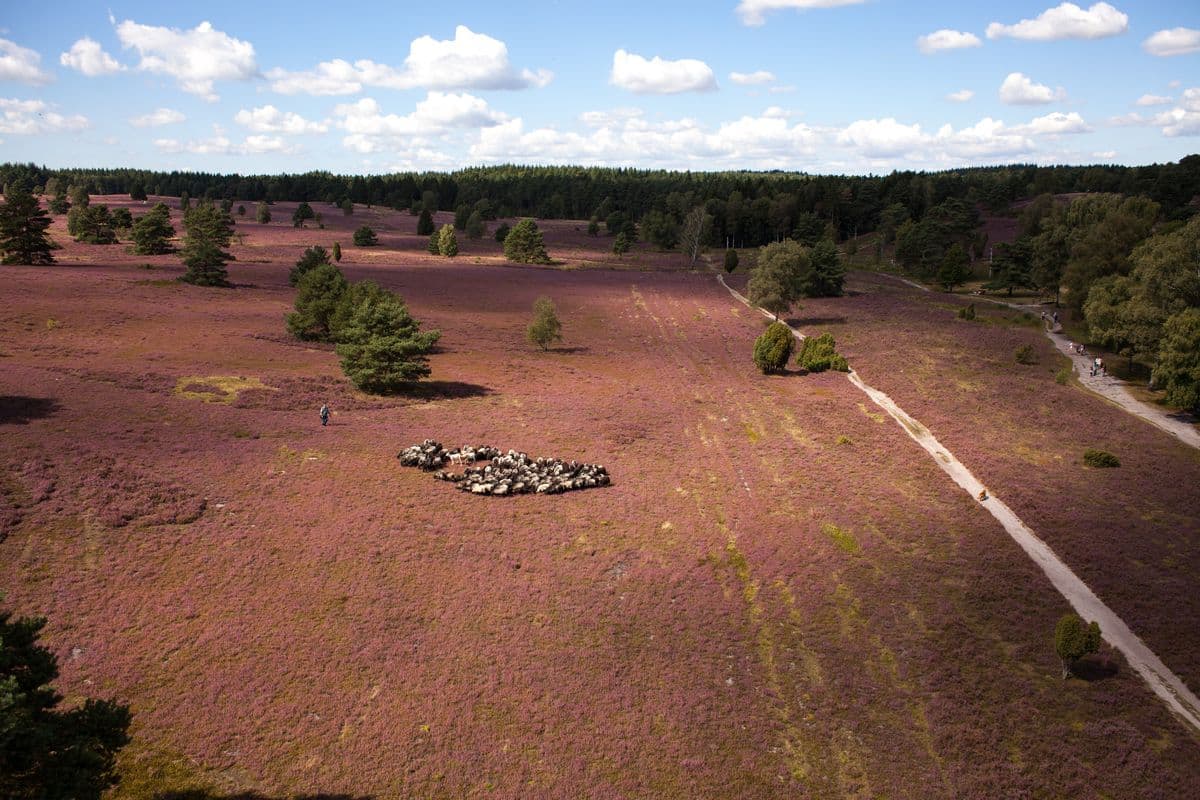 Handeloh Büsenbachtal