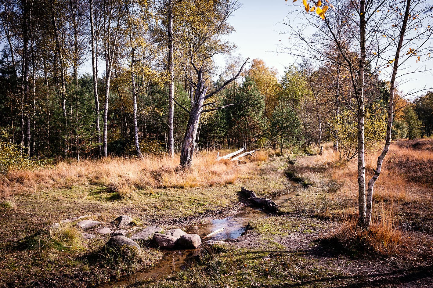 sehenswuerdigkeit lueneburger heide