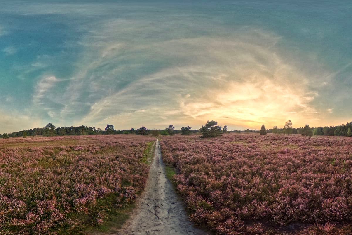 Handeloh, Büsenbachtal